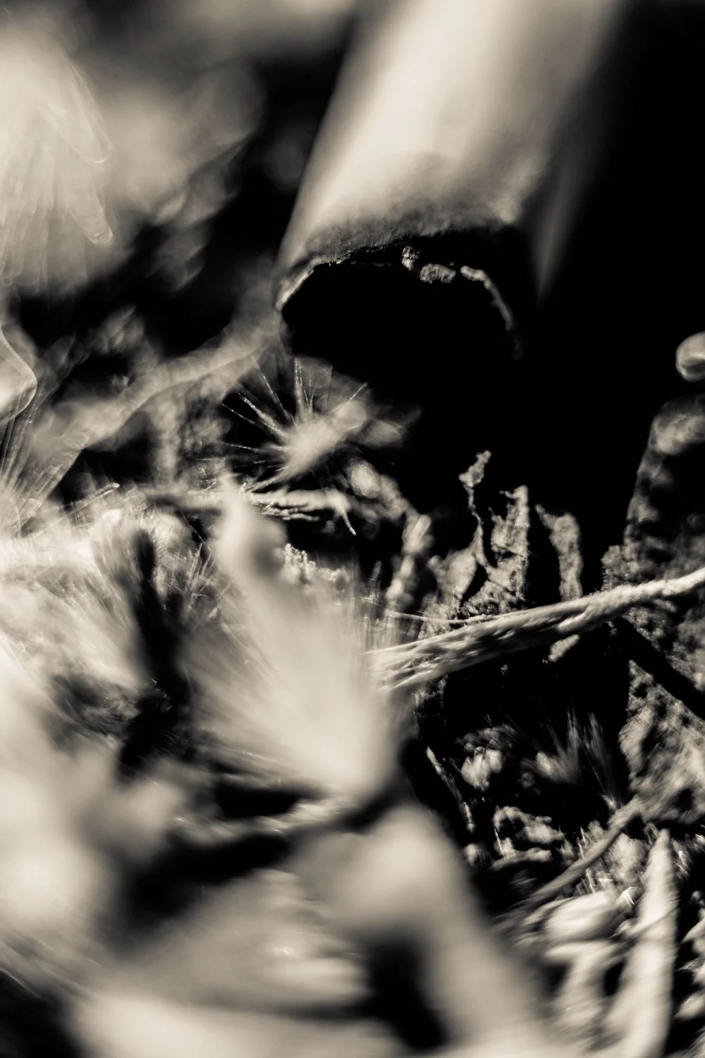 Knoll_J_Thesis_Project_2026_24.jpg