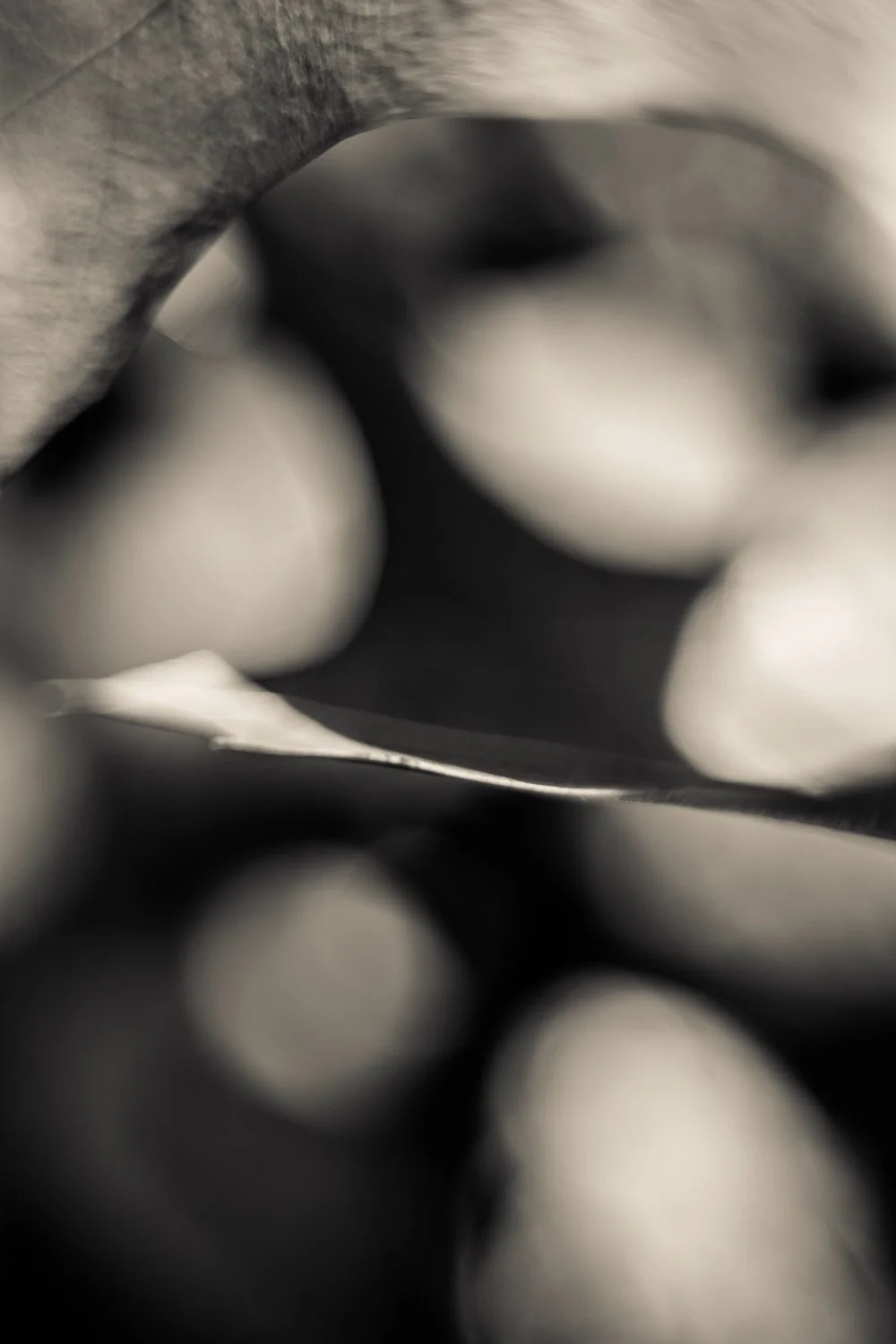 Knoll_J_Thesis_Project_2026_25.jpg
