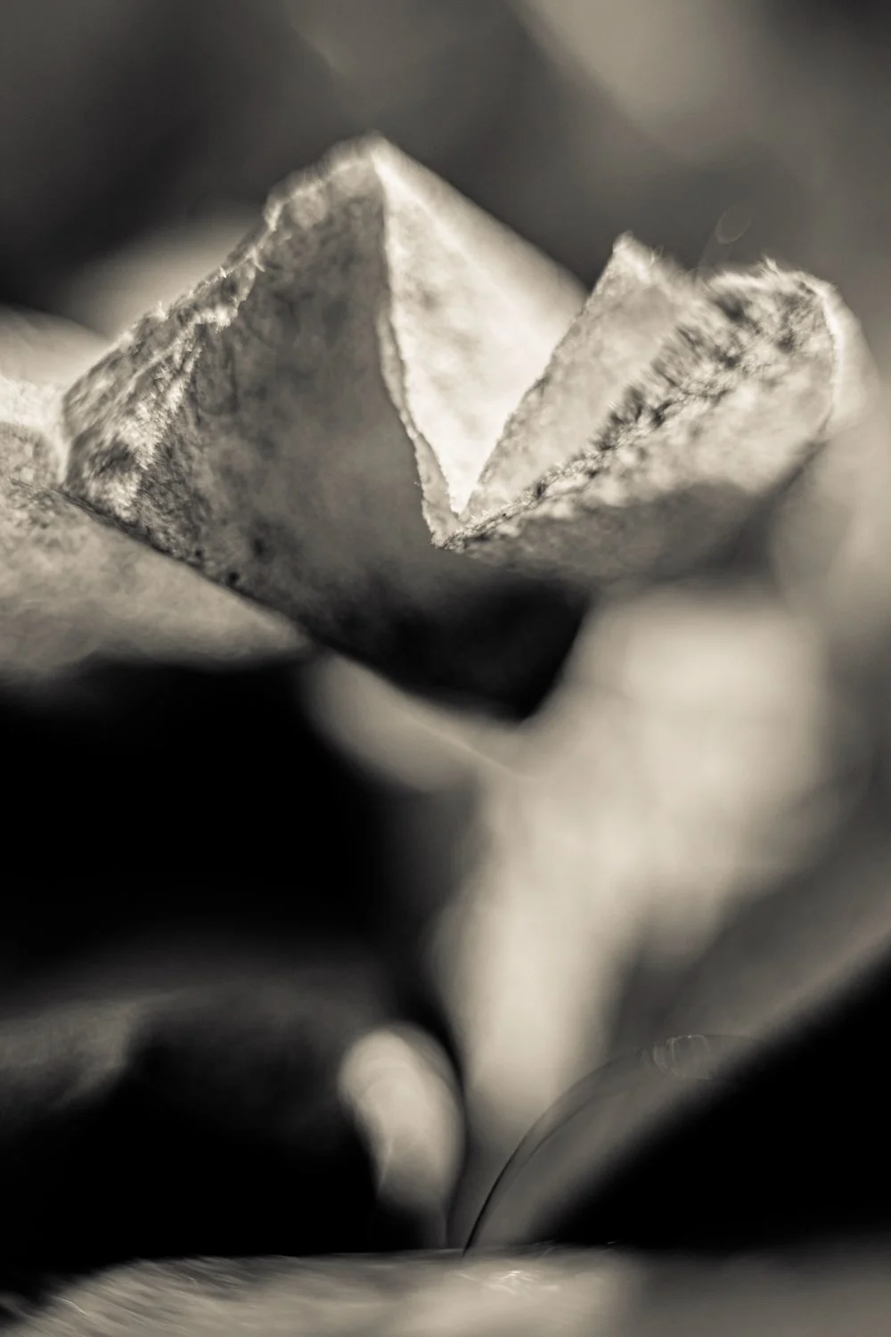 Knoll_J_Thesis_Project_2026_26.jpg