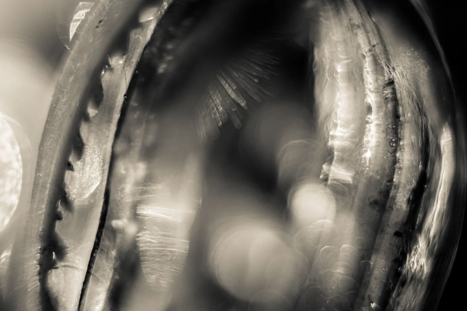 Knoll_J_Thesis_Project_2026_29.jpg