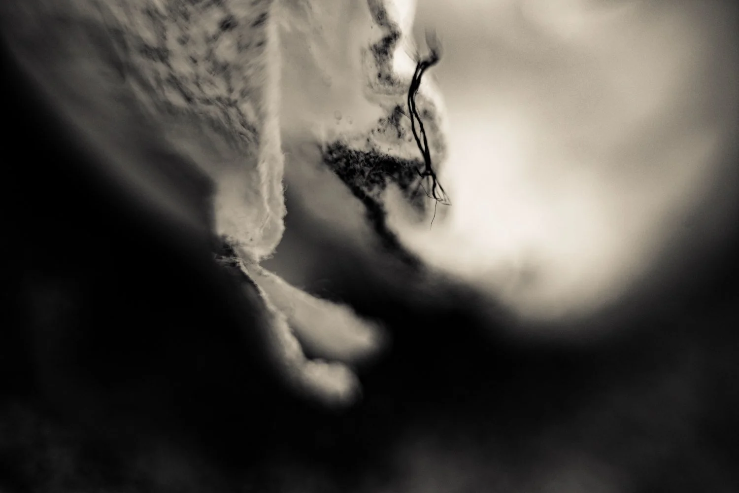 Knoll_J_Thesis_Project_2026_30.jpg