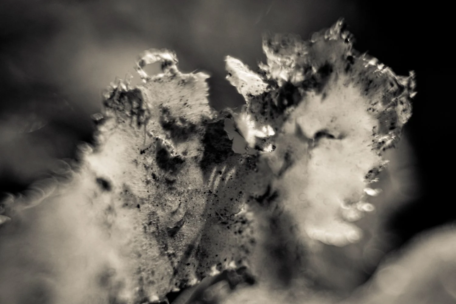 Knoll_J_Thesis_Project_2026_31.jpg