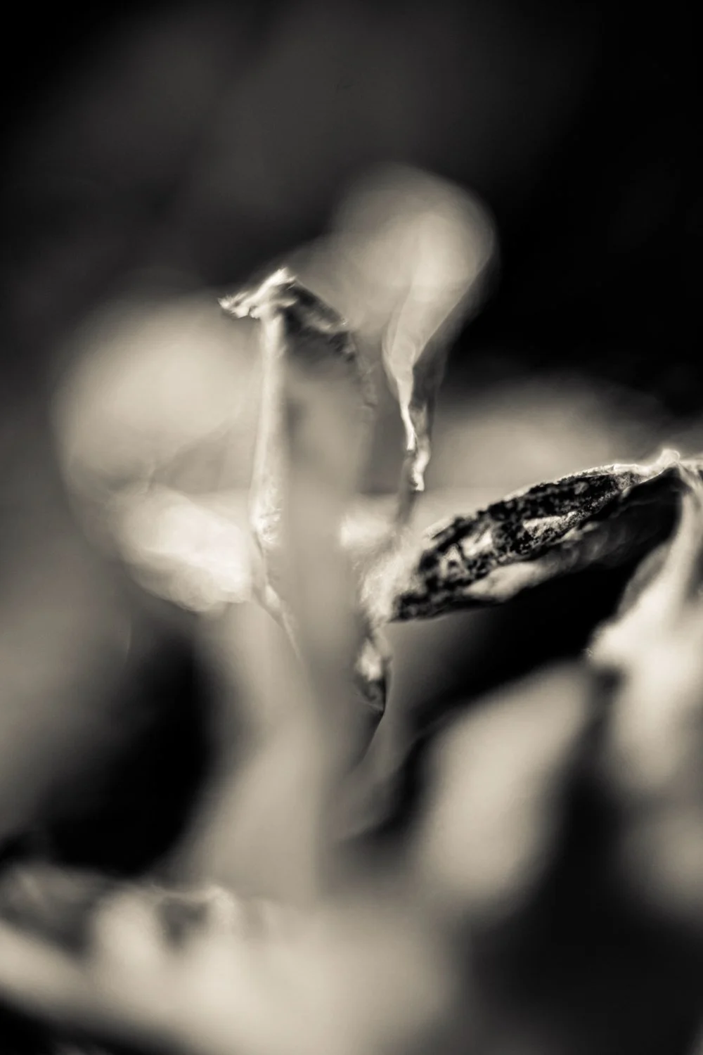 Knoll_J_Thesis_Project_2026_32.jpg