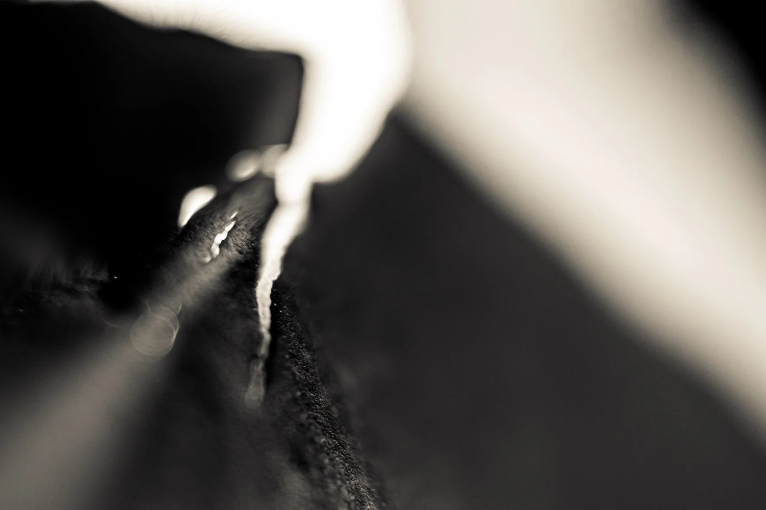 Knoll_J_Thesis_Project_2026_33.jpg