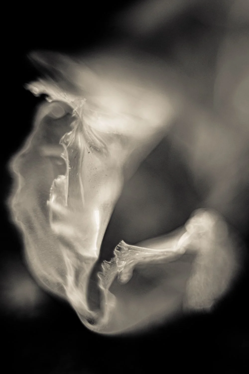 Knoll_J_Thesis_Project_2026_34.jpg