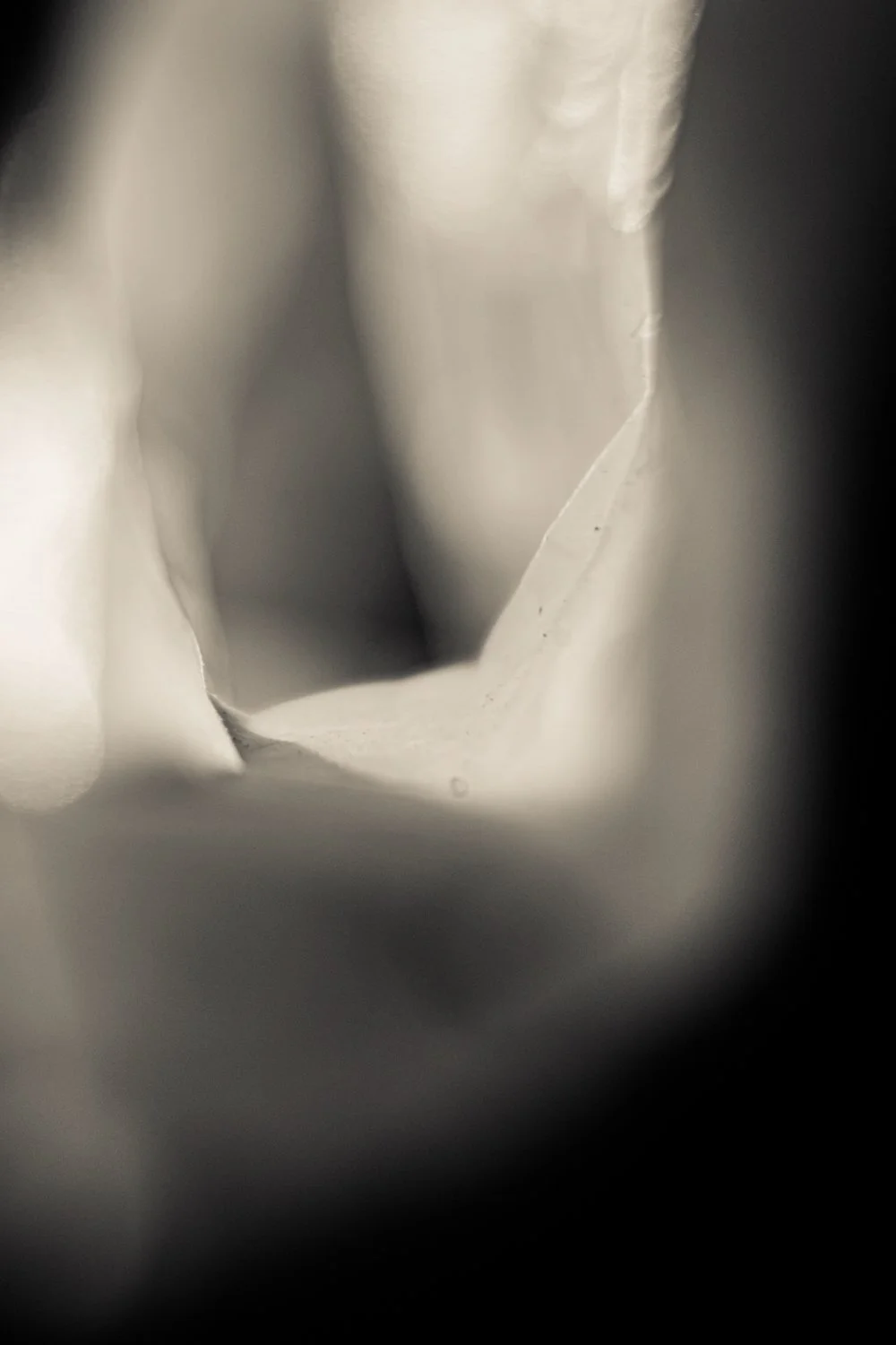 Knoll_J_Thesis_Project_2026_37.jpg