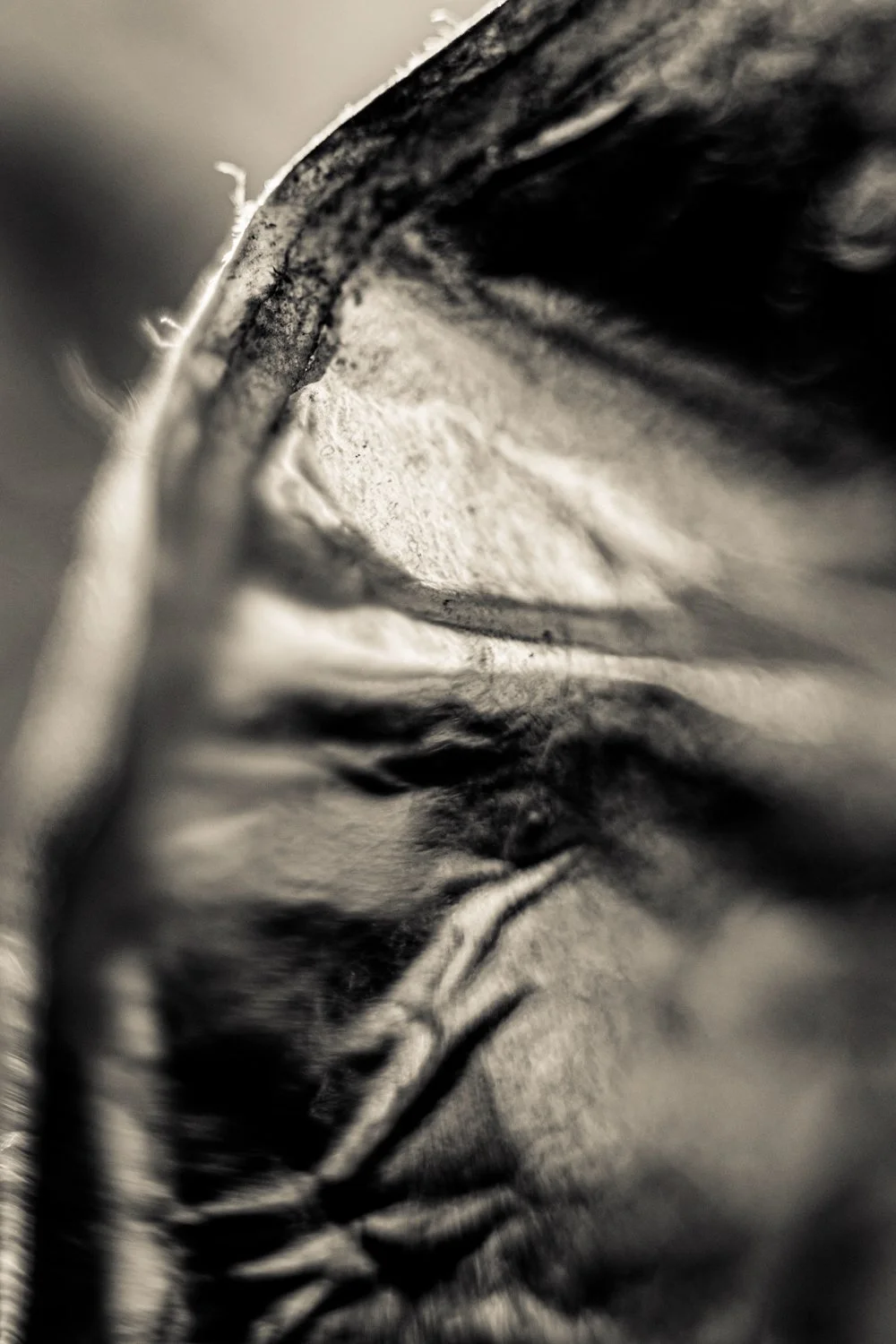 Knoll_J_Thesis_Project_2026_38.jpg