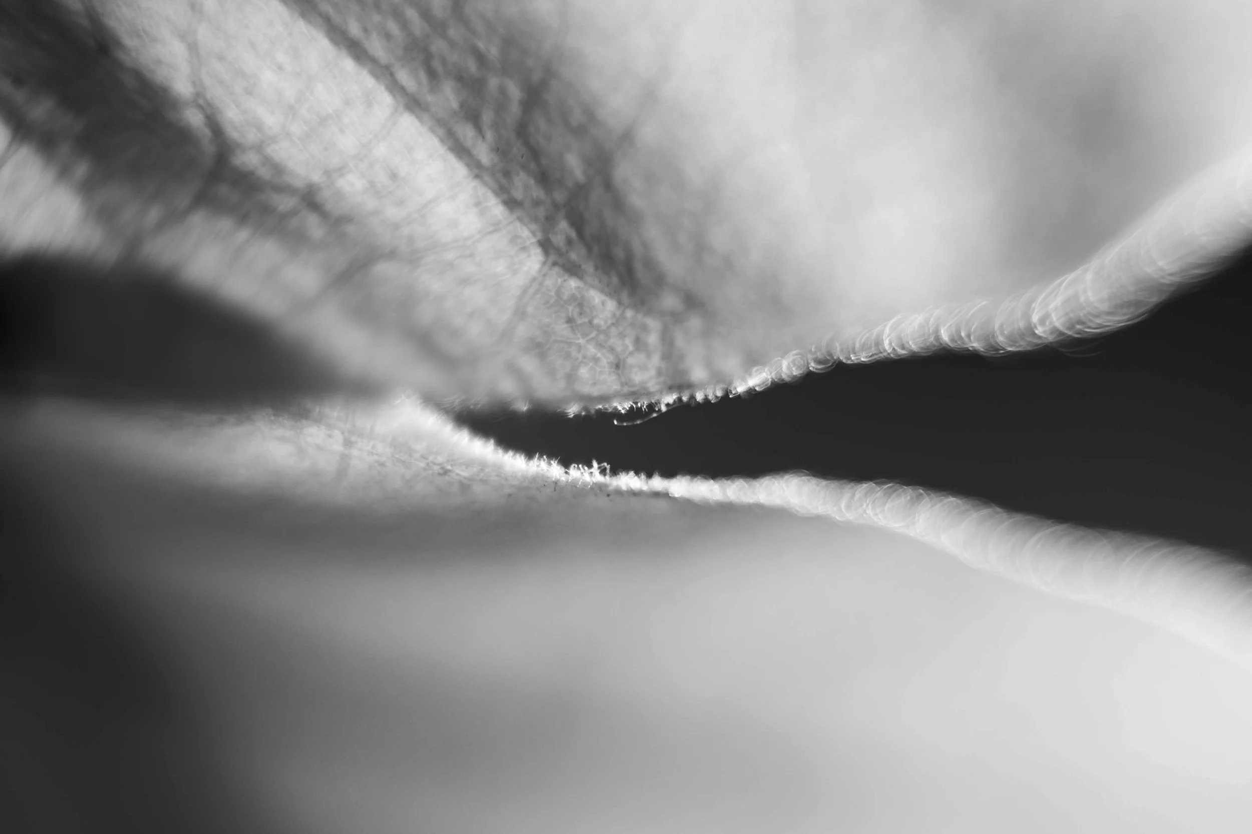 Knoll_J_EP_F6_-13.jpg