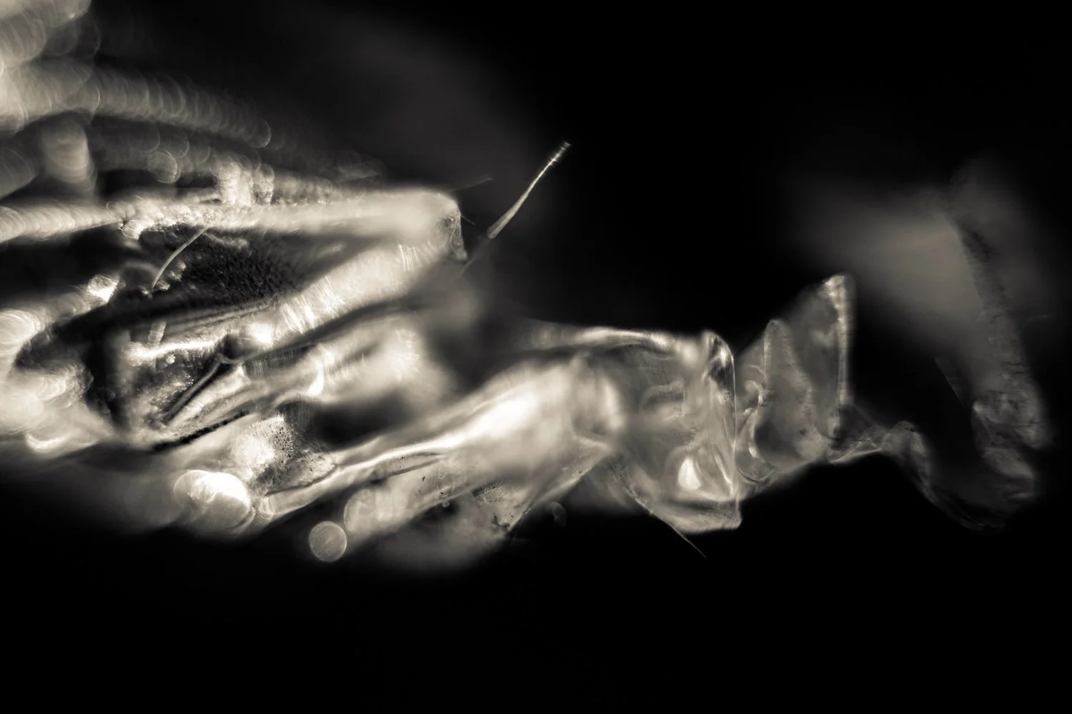 Knoll_J_Thesis_Project_2026_2.jpg
