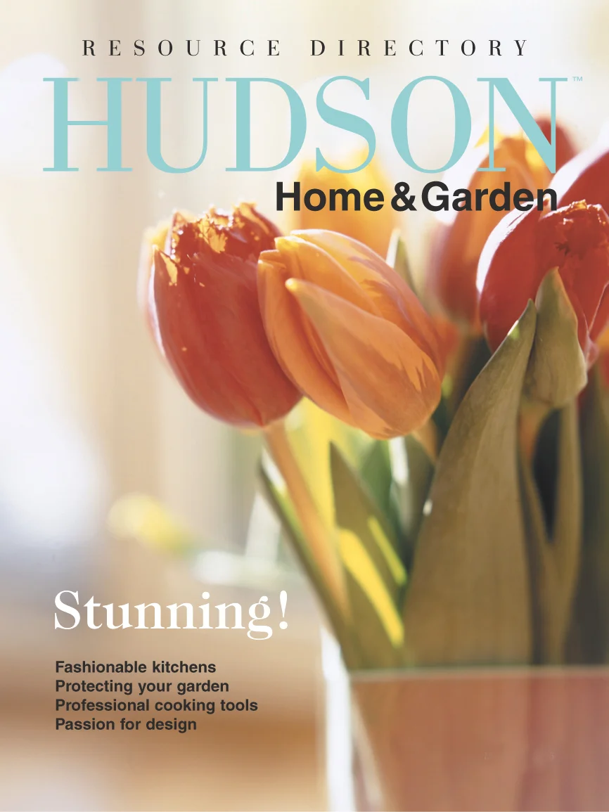 HudsonMagCover_ResourceDirectory_05.jpg