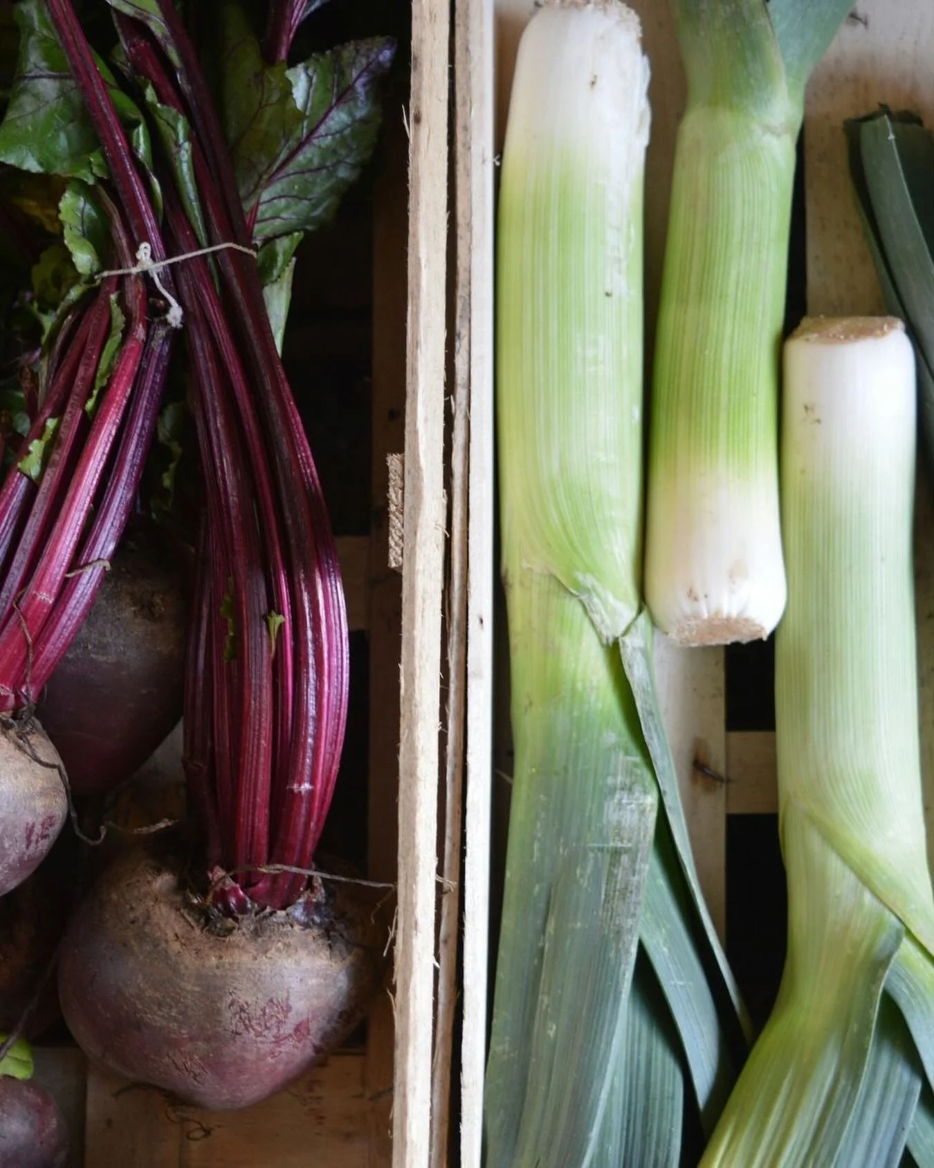 We love working with what&rsquo;s in season to keep your menus fresh and nourishing. Want this on your table? Our waitlist is open.