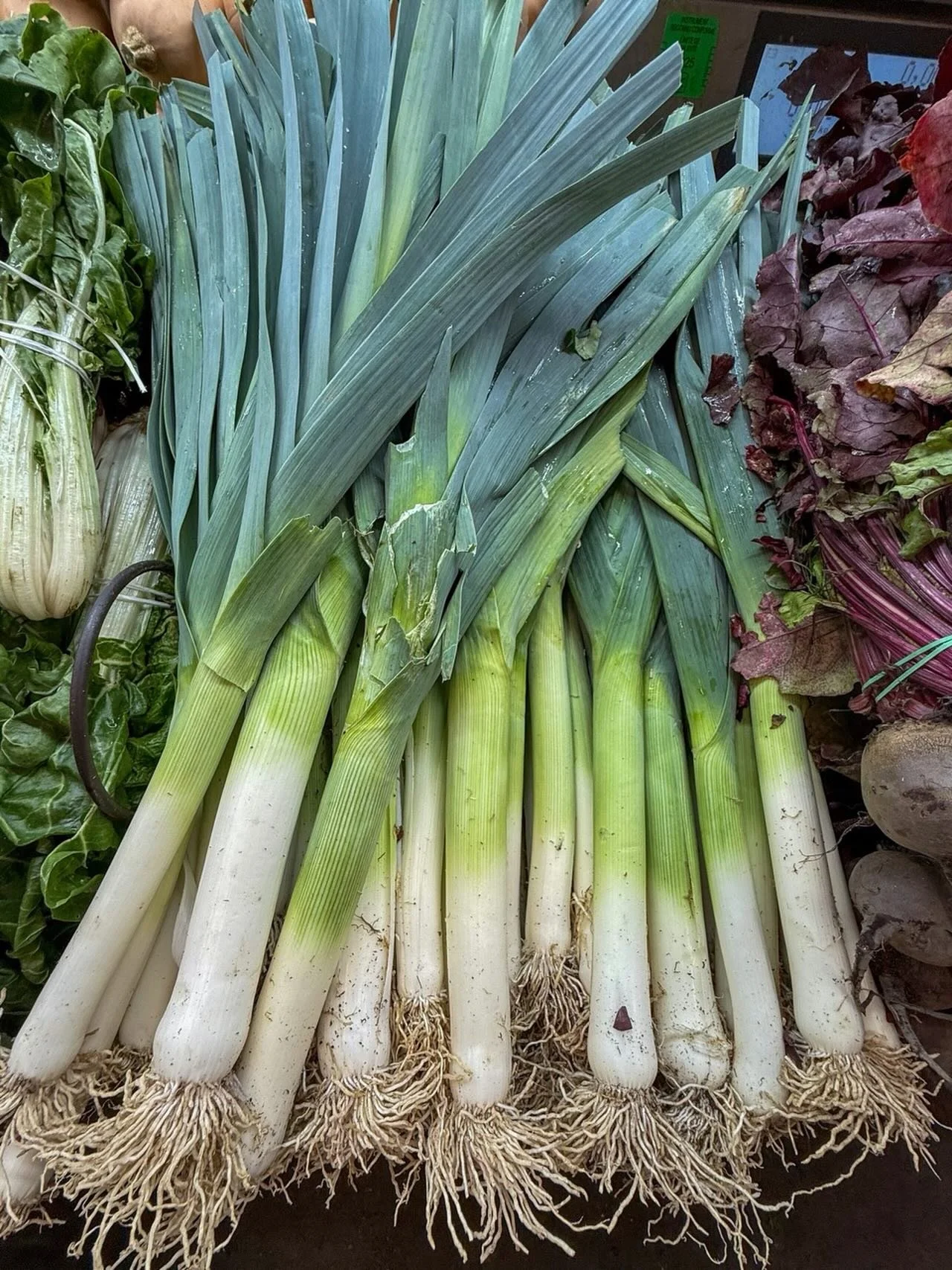 TURNIP, POTATO &amp; LEEK SOUP

Ingredients:
1 Tbs. olive oil
1 medium onion, chopped
2 large leeks (or 3 medium), white and light green part only, halved lengthwise, cleaned and sliced or chopped (save those tops for your next batch of homemade stoc