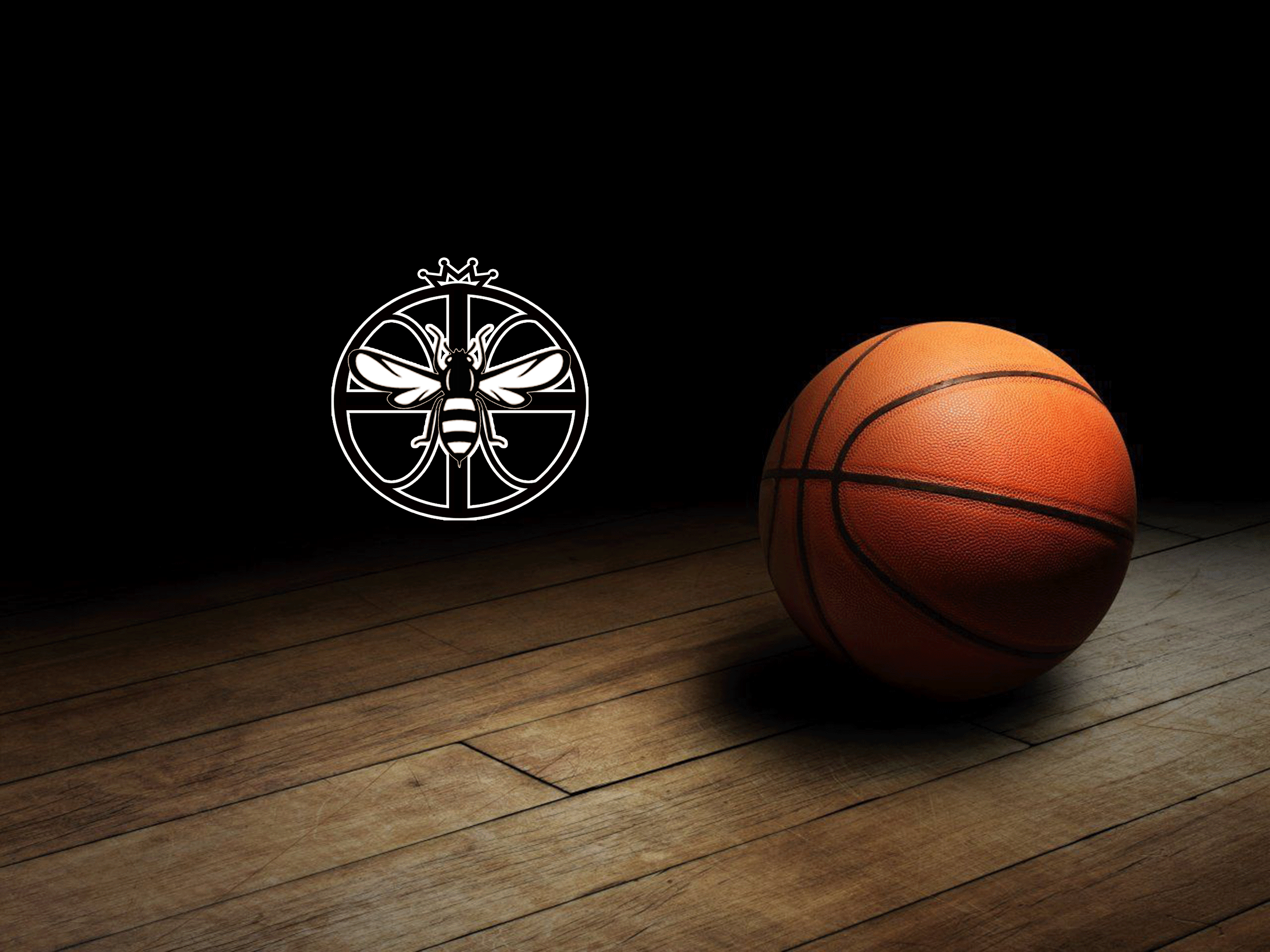 BACKGROUND1.gif