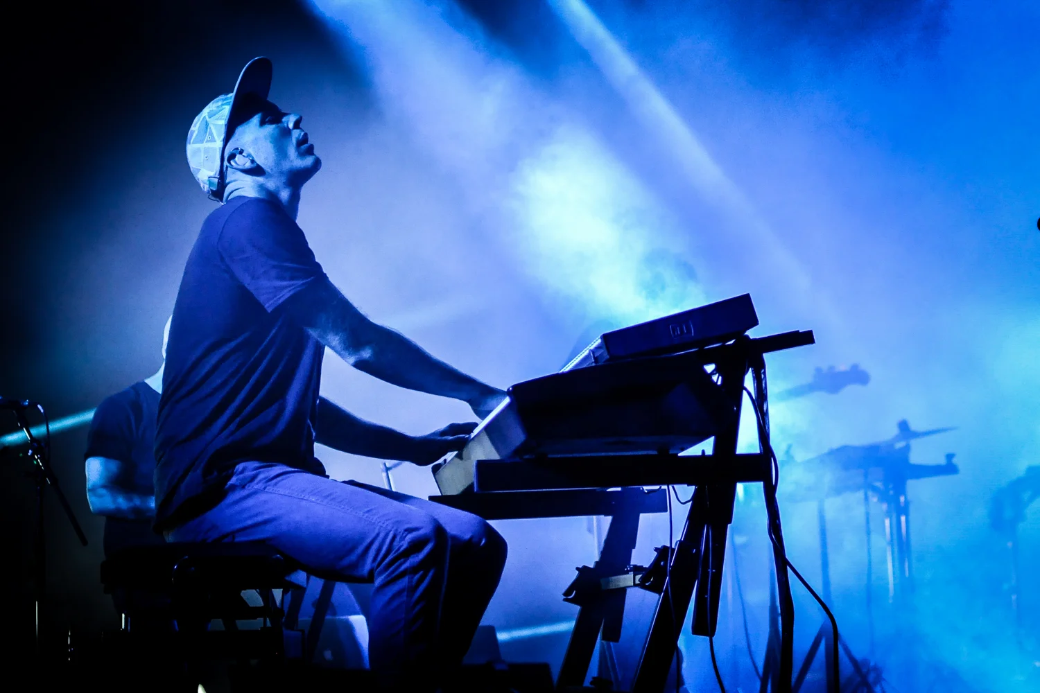 07bonobo07ar2018alenarcik.jpg