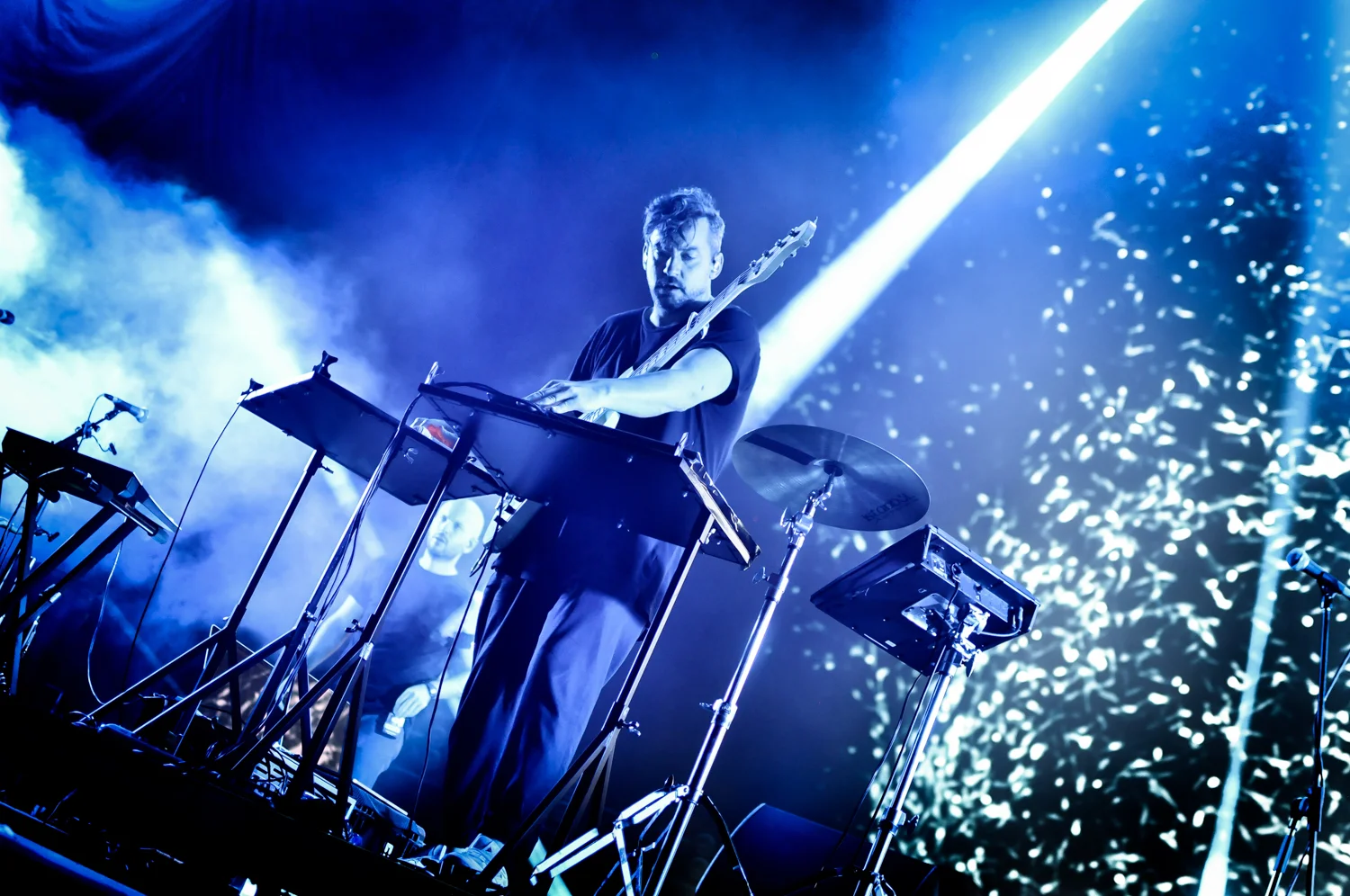 09bonobo03ar2018alenarcik.jpg
