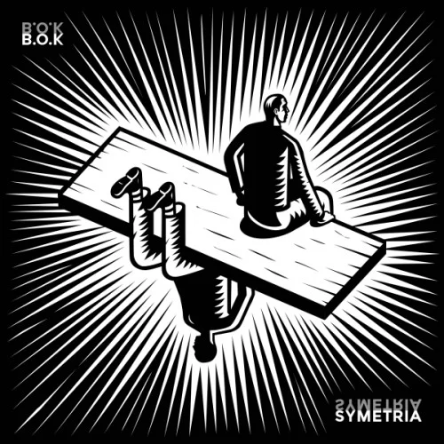 bok-symetria.jpg