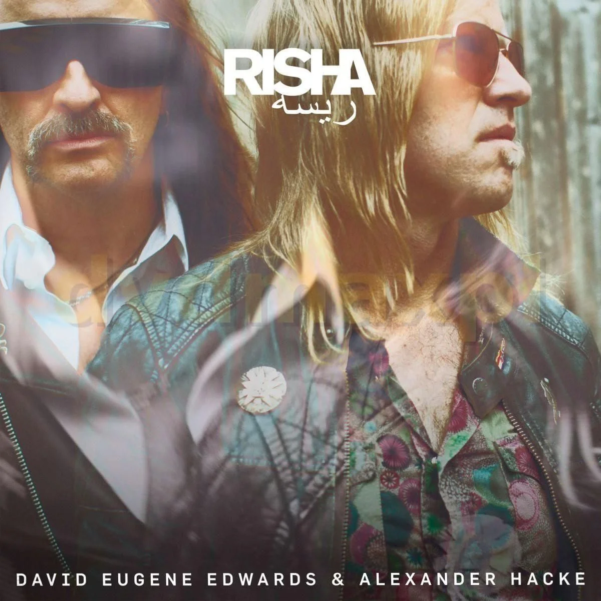 edwards & hacke.jpg