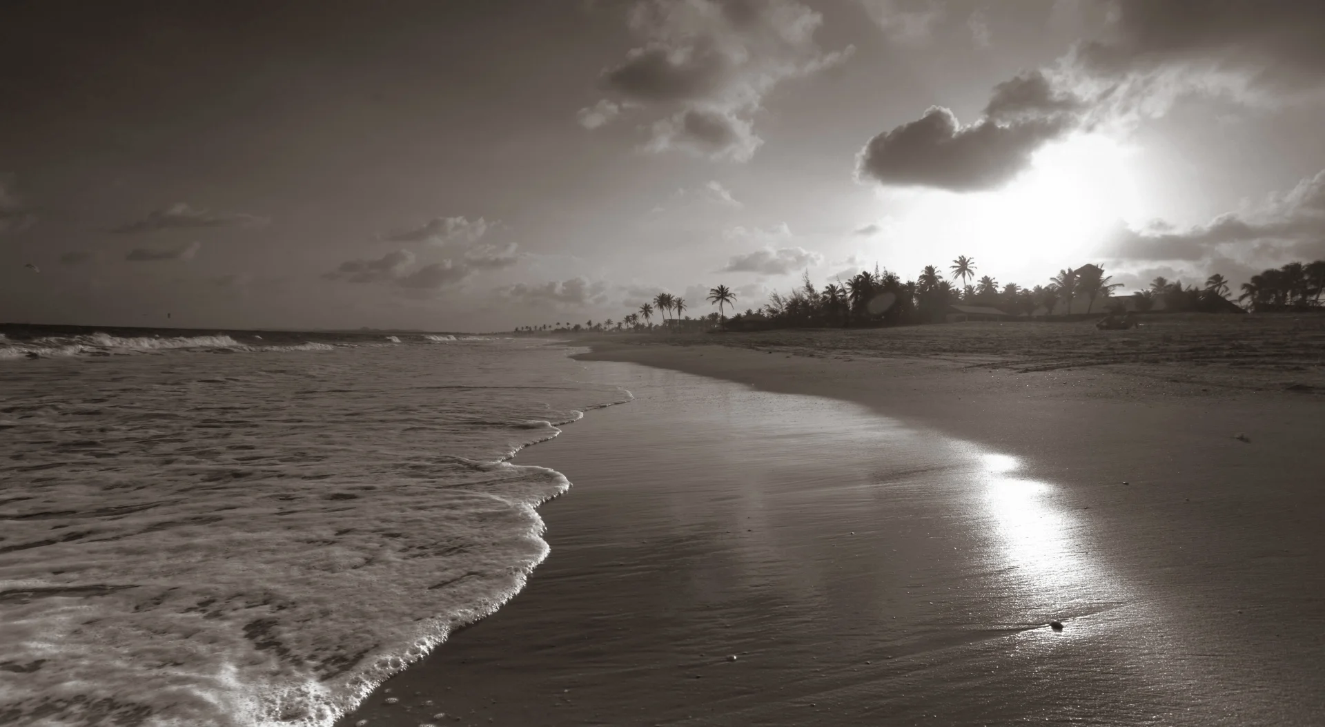 beach.jpg