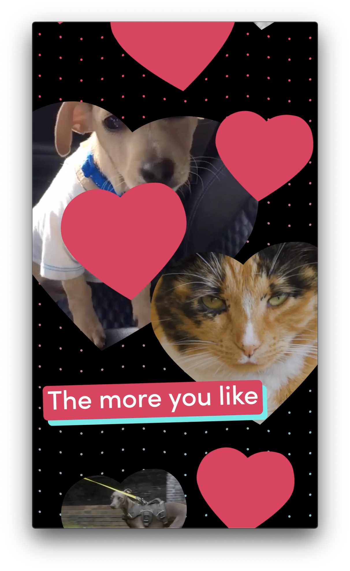Screenshot 2020-06-18 at 11.50.25.png