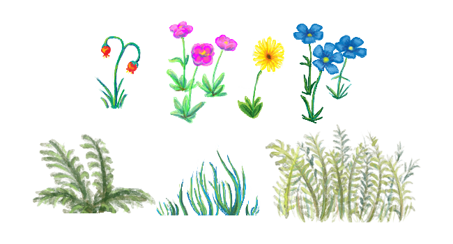 Copy of The Meadow- Grass & Flower Terrain