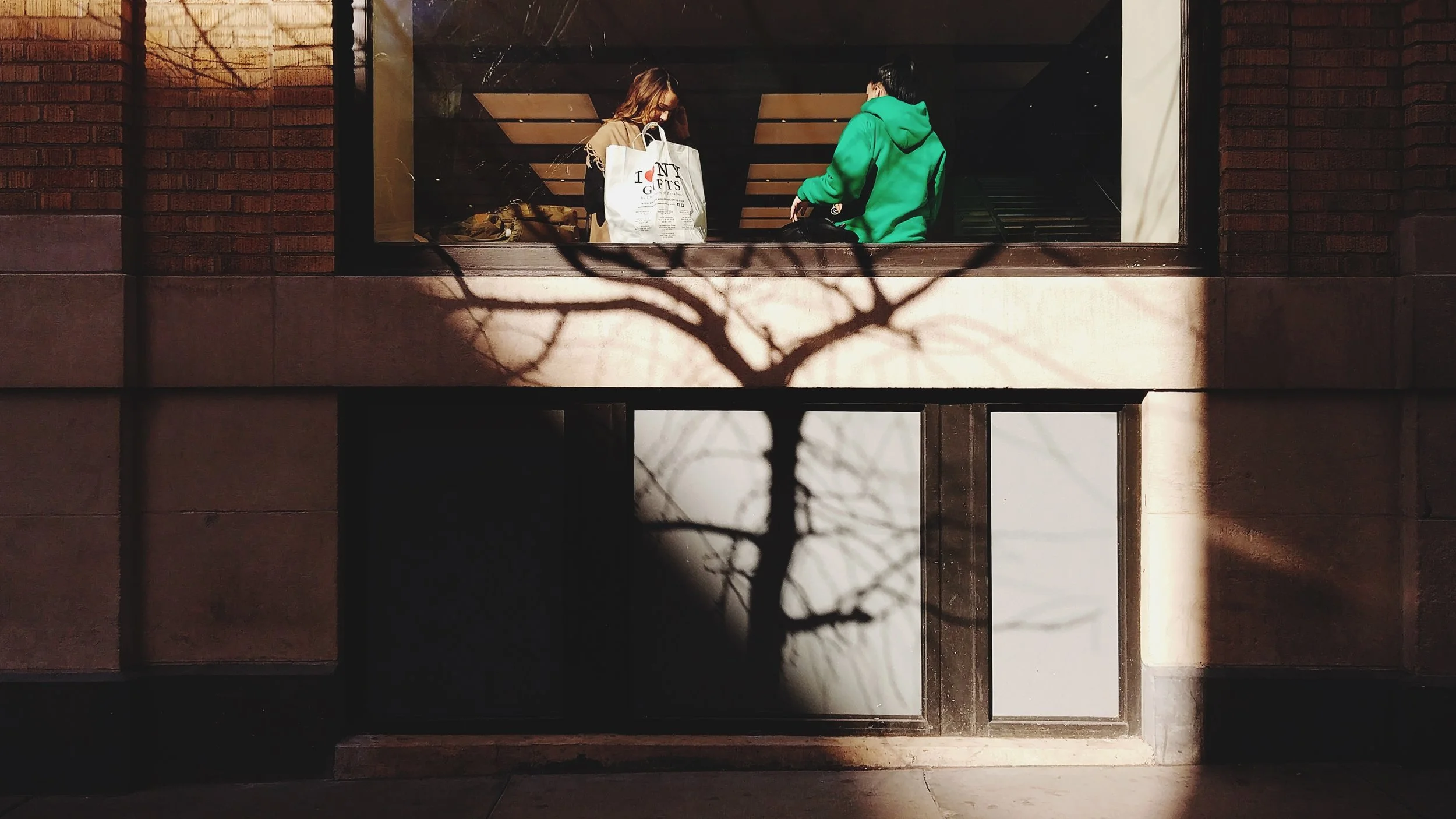 tree shadow and tourists.JPG