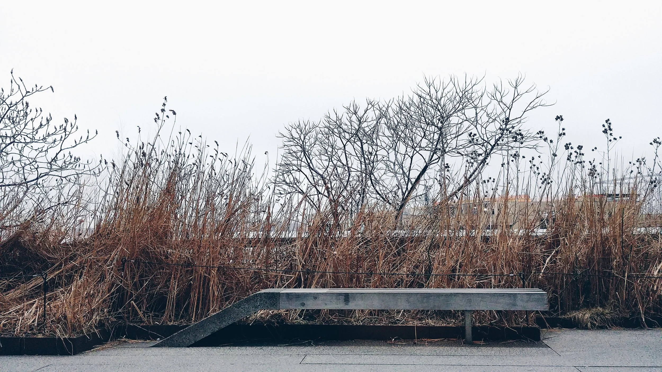 high line.JPG