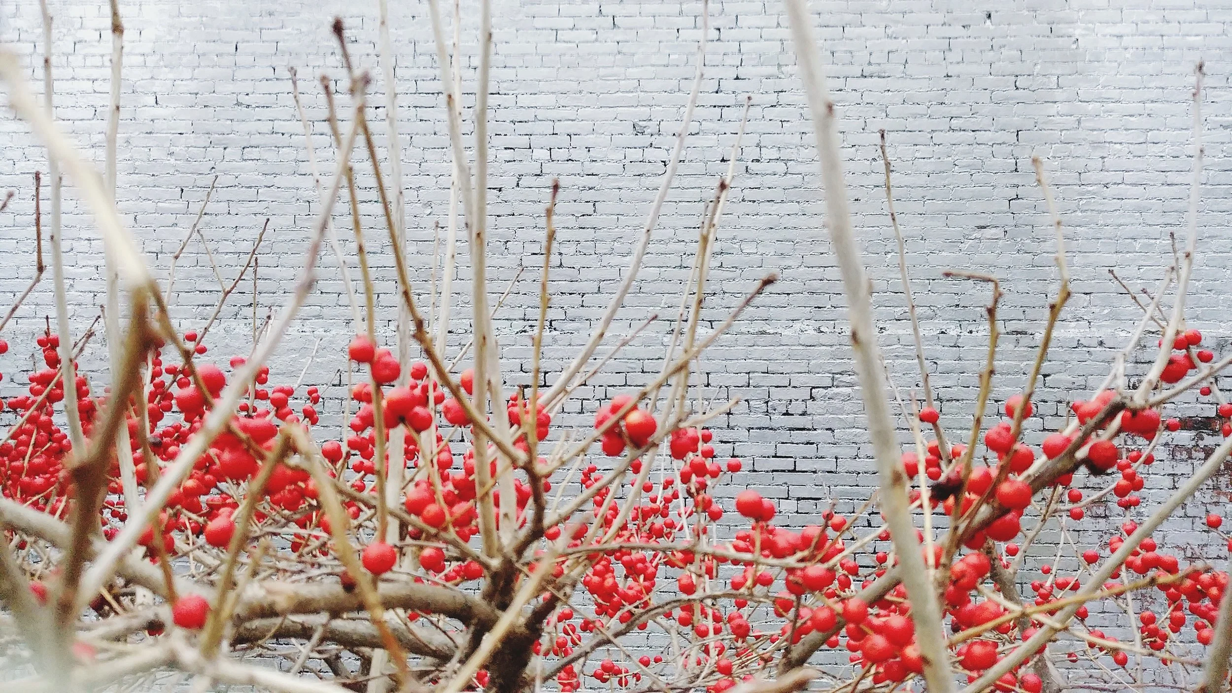 red and silver gray.JPG