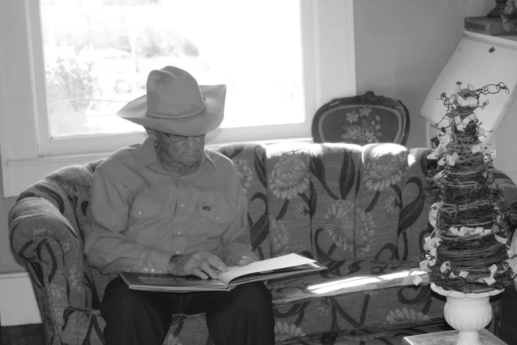 pawpaw+2.jpg
