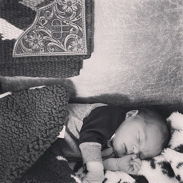 Dreaming of riding horses and chasing cows! 
#littlecowboy #vetlife #futurecowboy #countryliving