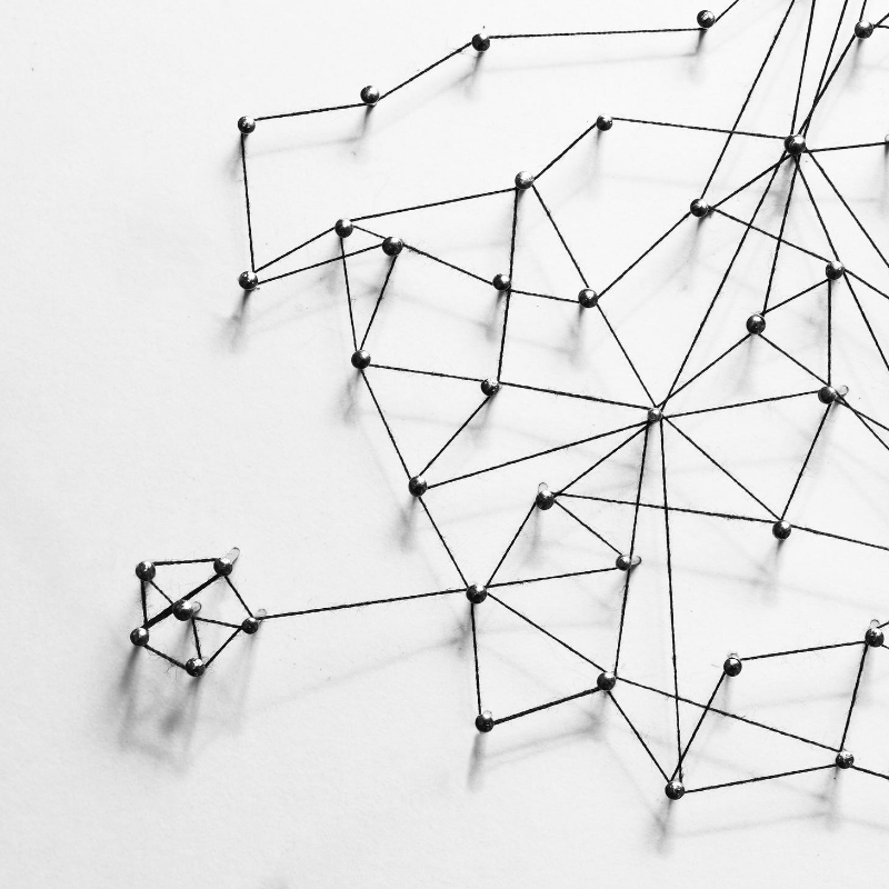 The Power of Your Network