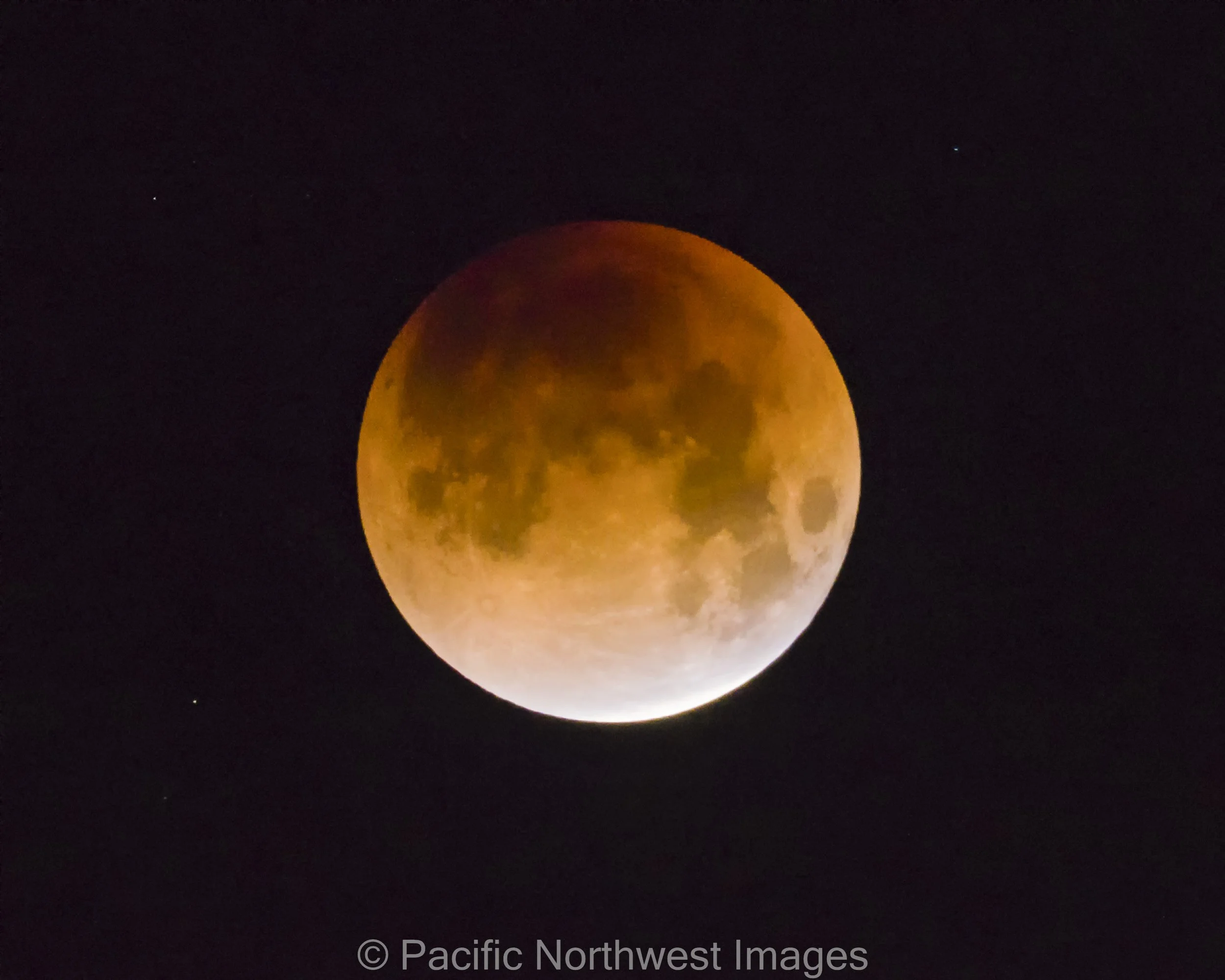 Eclipse_1 (1 of 1).jpg