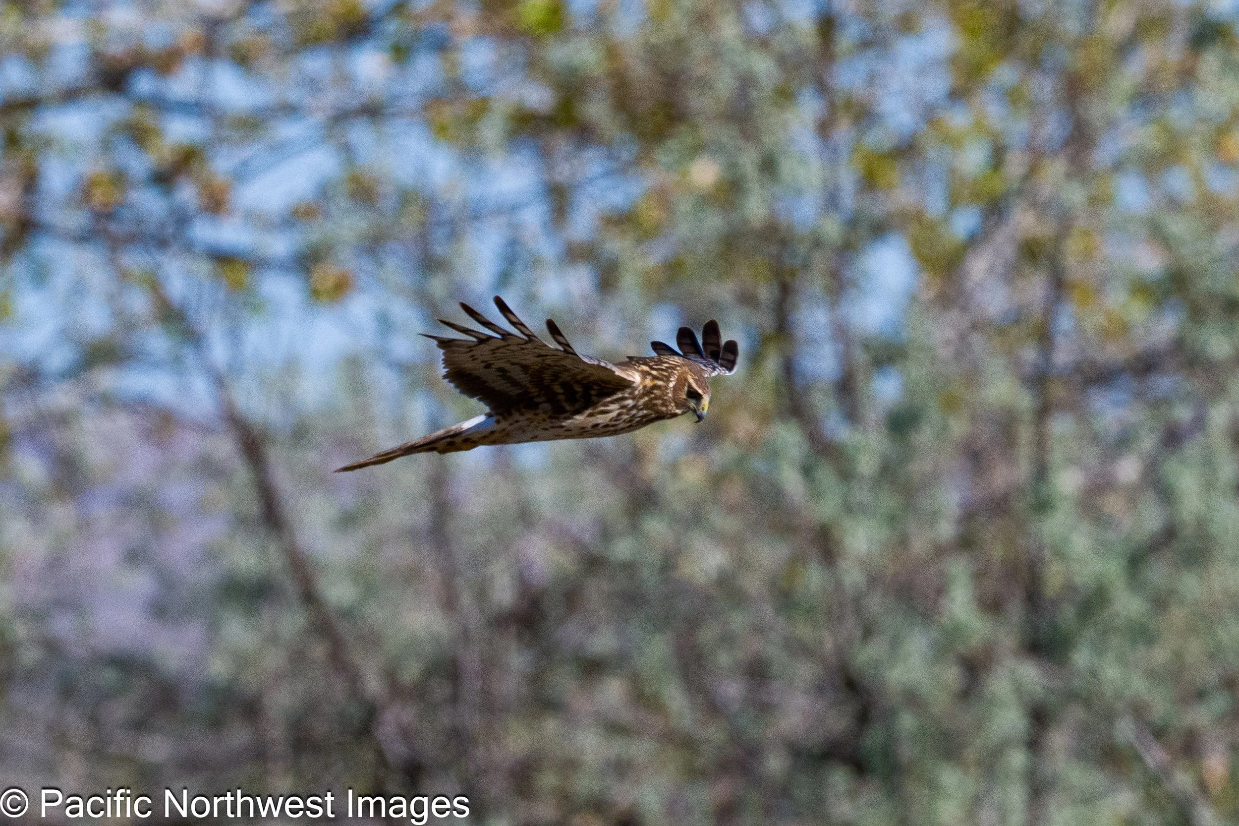 Bosque_General_2026 (24 of 28).jpg