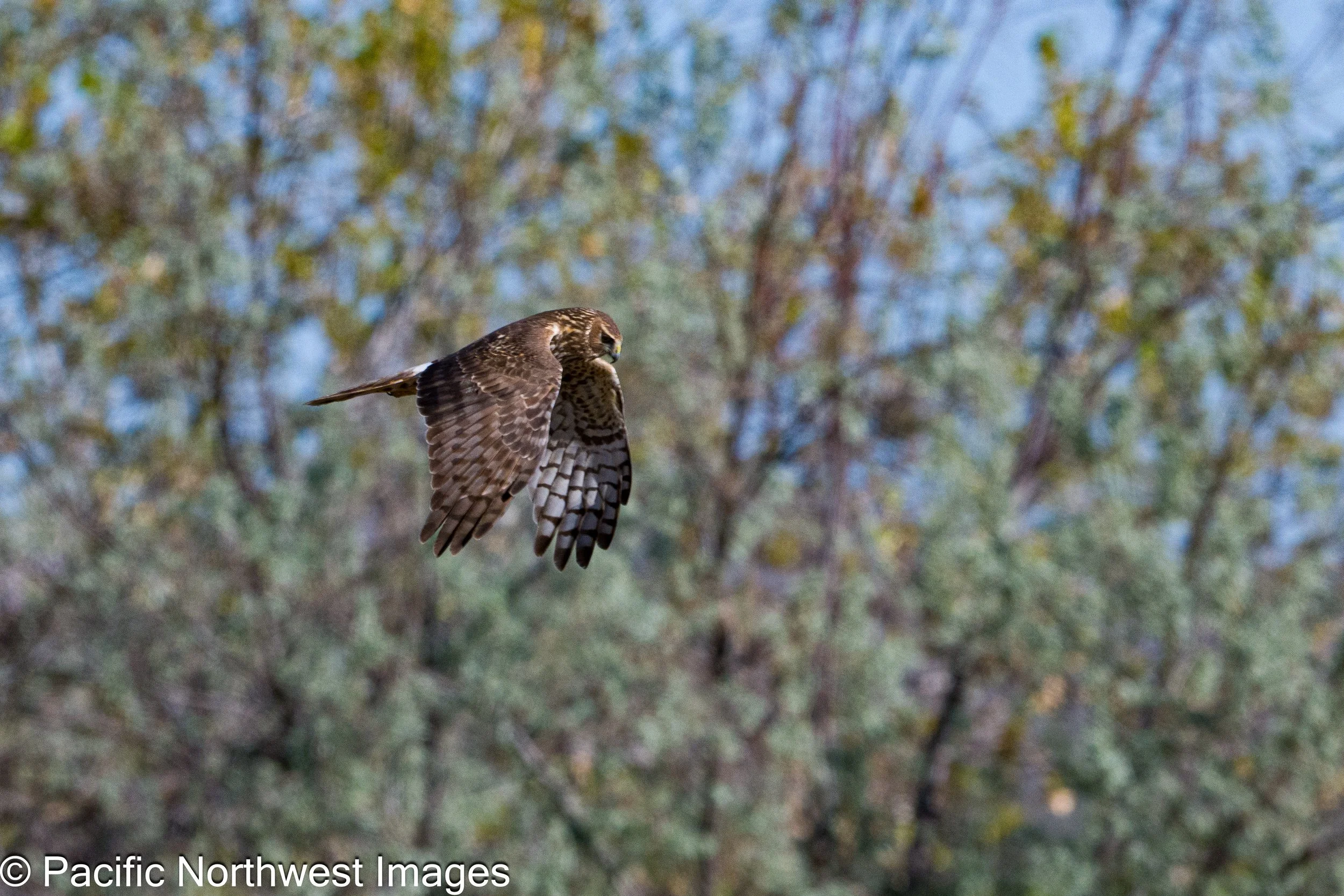 Bosque_General_2026 (25 of 28).jpg