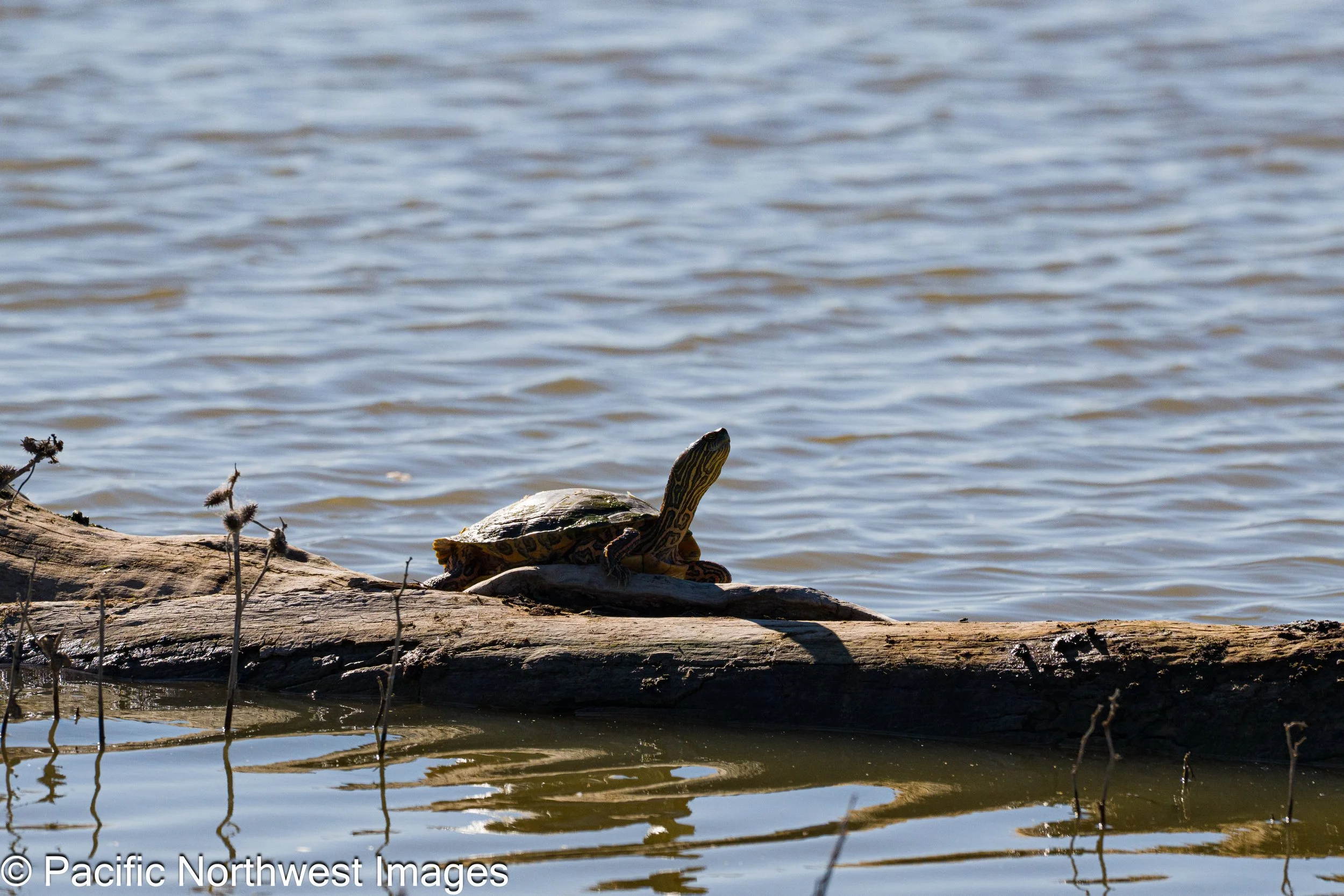 Bosque_General_2026 (28 of 28).jpg