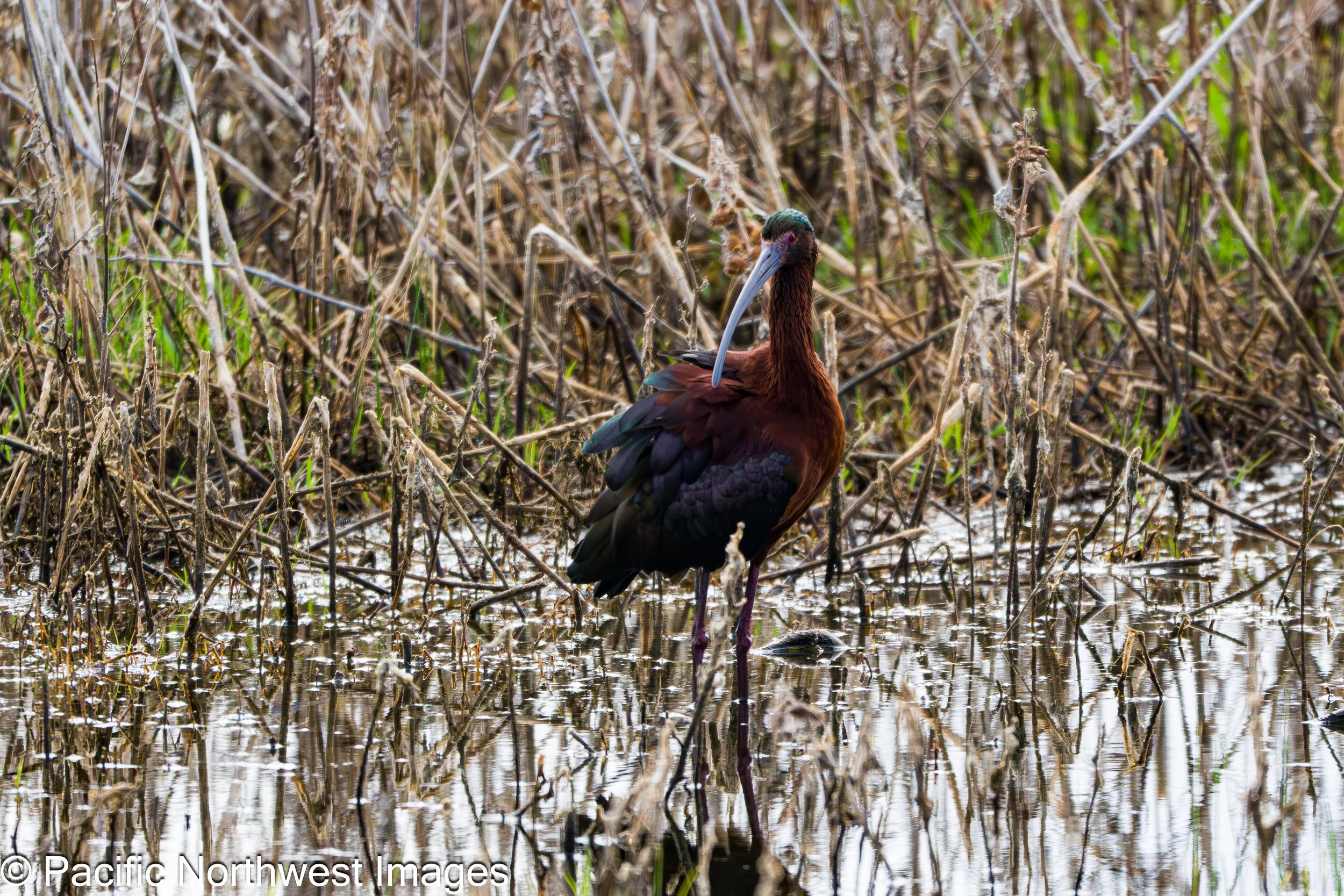 Bosque_General_2026 (8 of 9).jpg