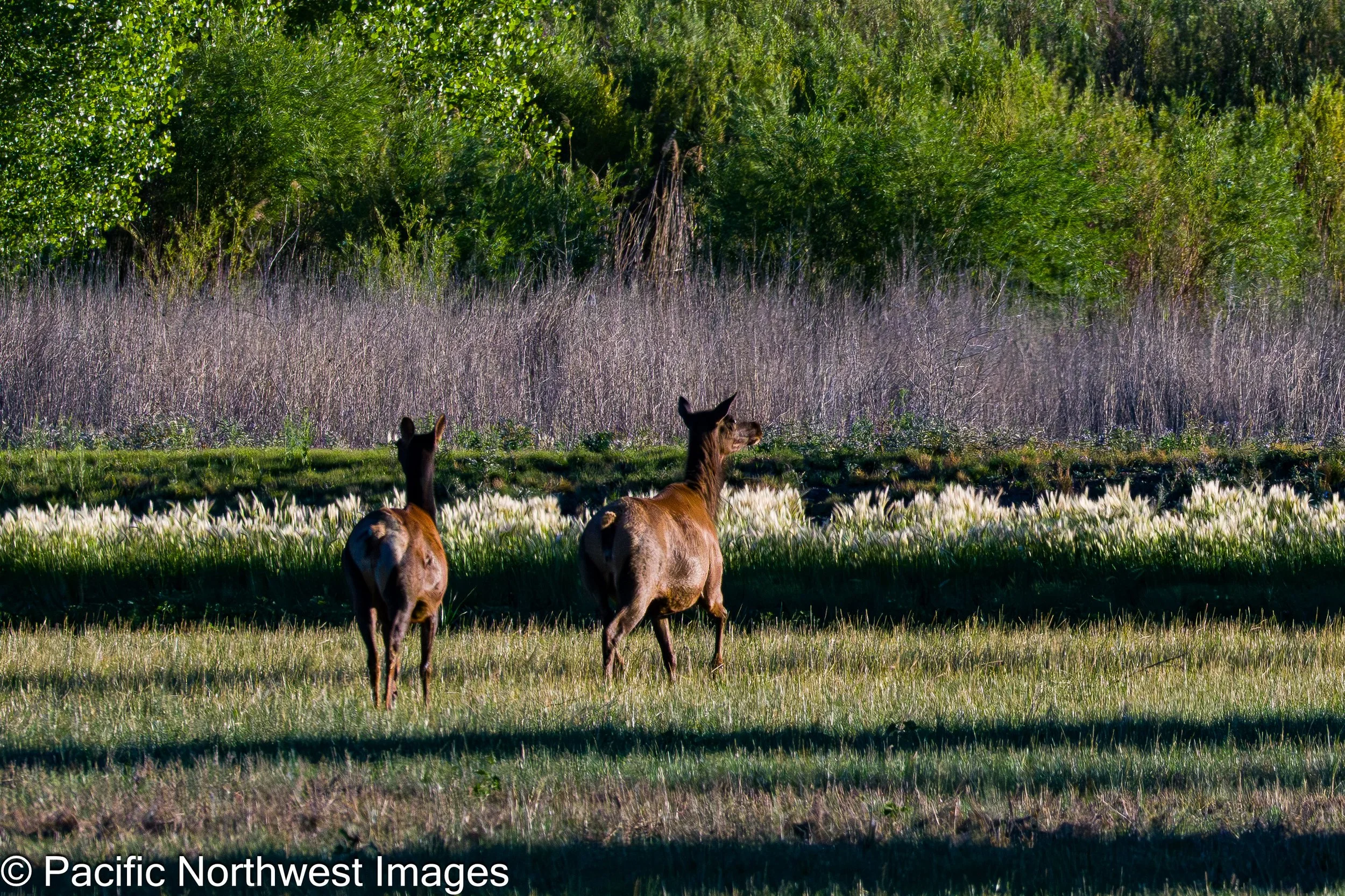 Bosque_General_2026 (8 of 9)-2.jpg