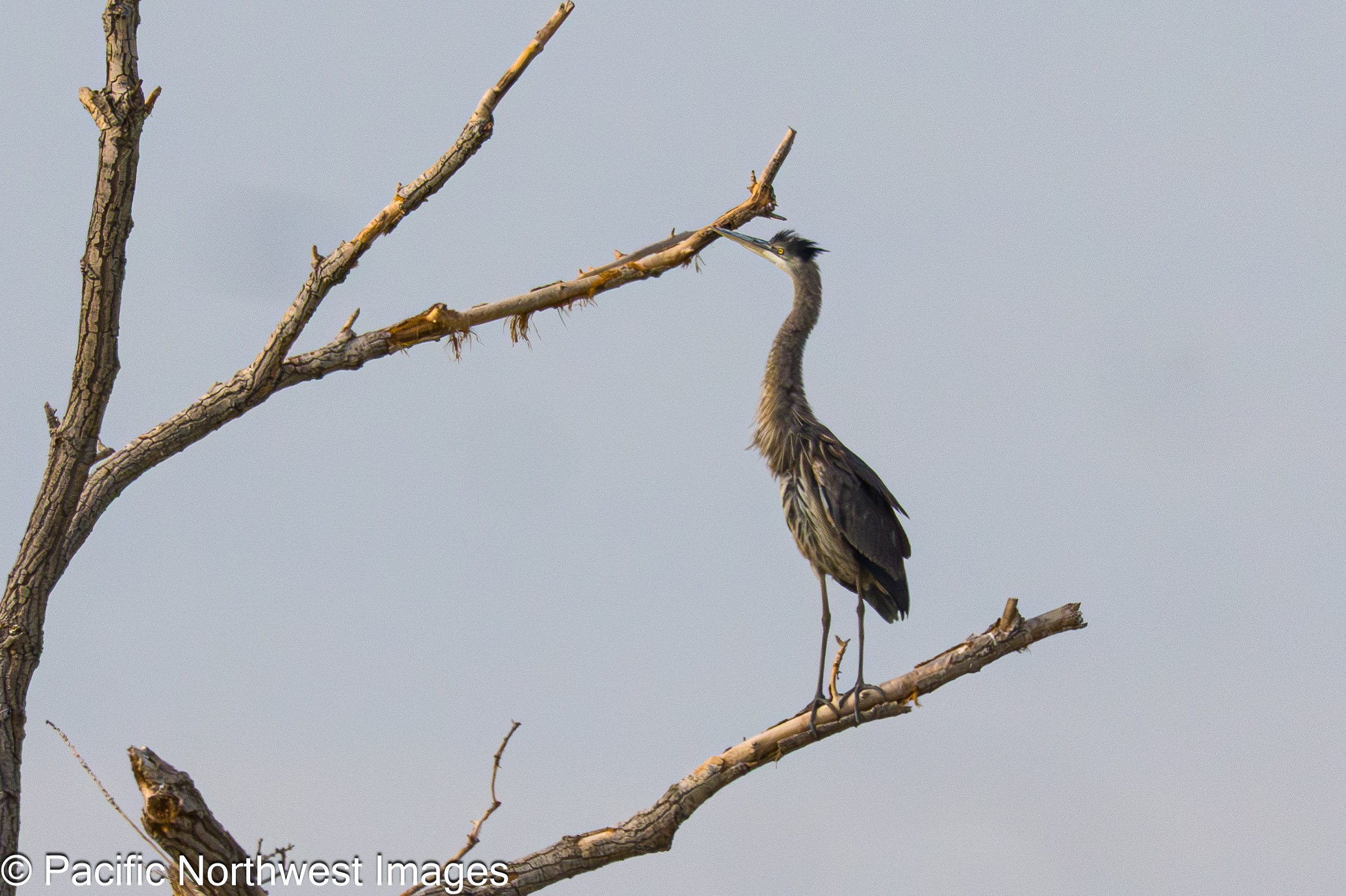 Bosque_5_28_2026 (4 of 21).jpg