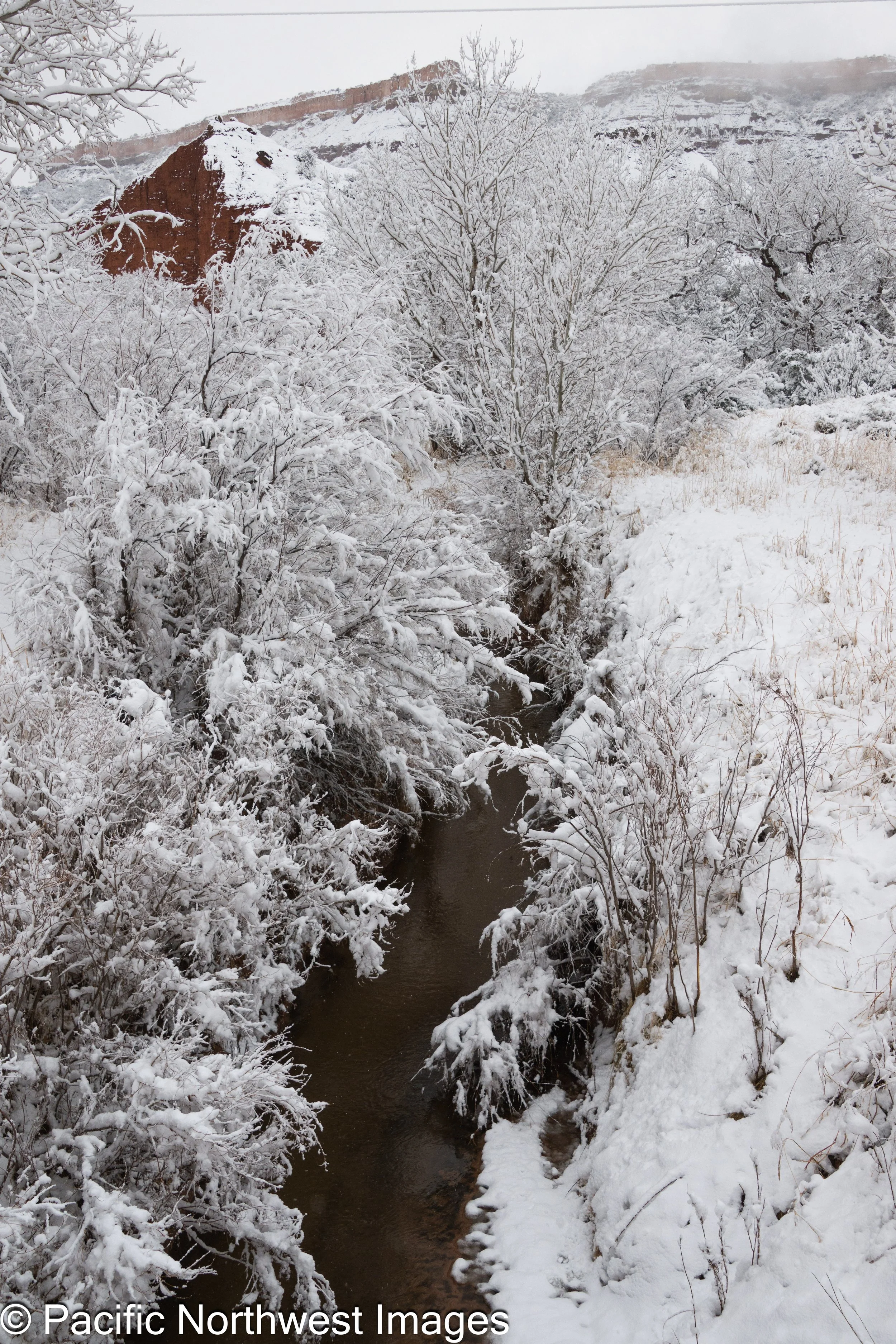 Landscape_web (4 of 8).jpg