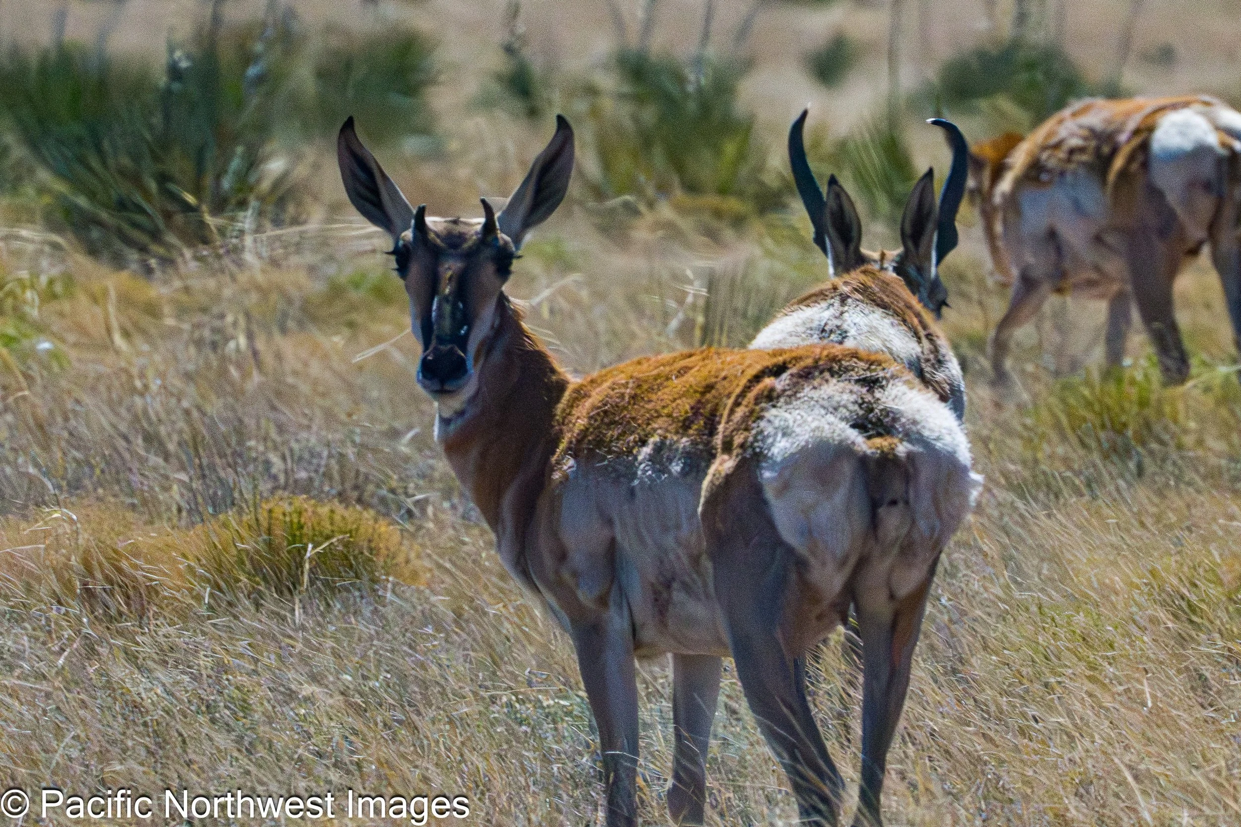 Sevilleta_NWR_2_29_2026 (24 of 24).jpg