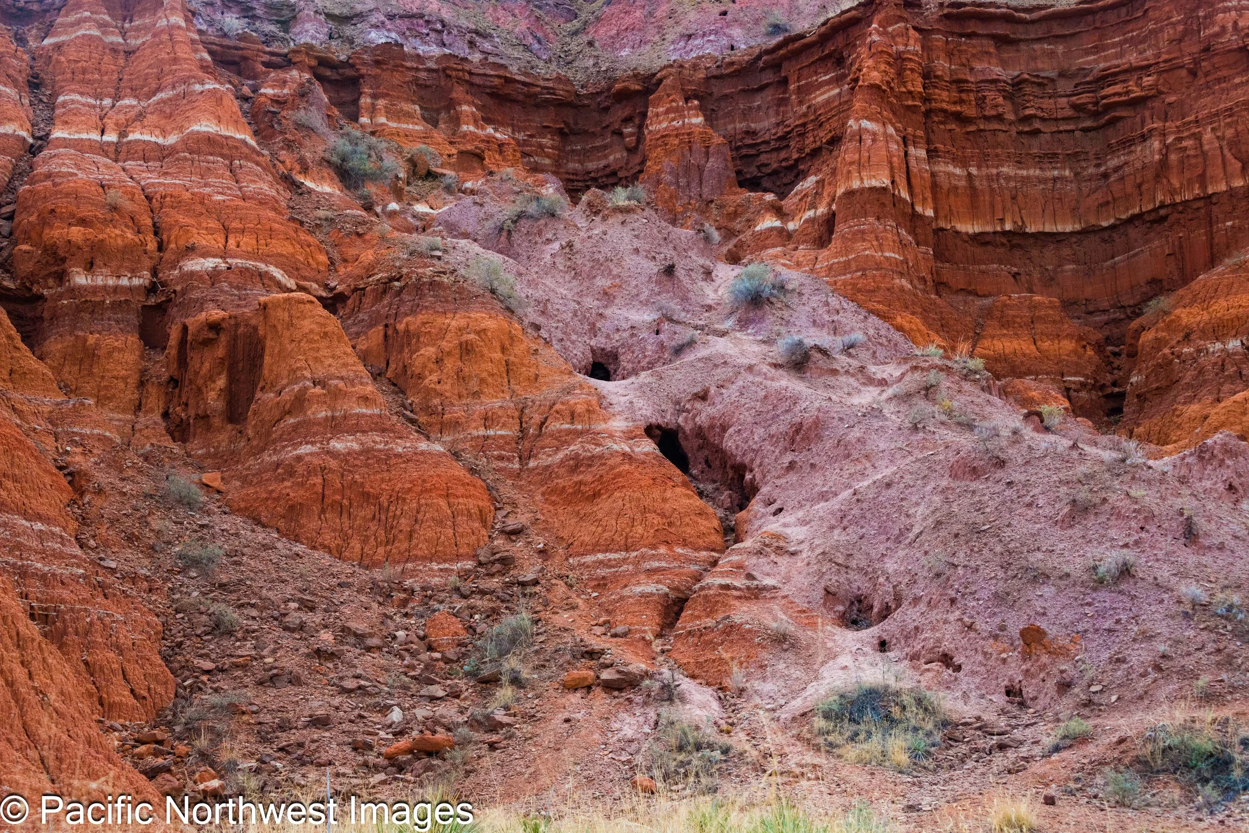 Landscape_web (2 of 2).jpg