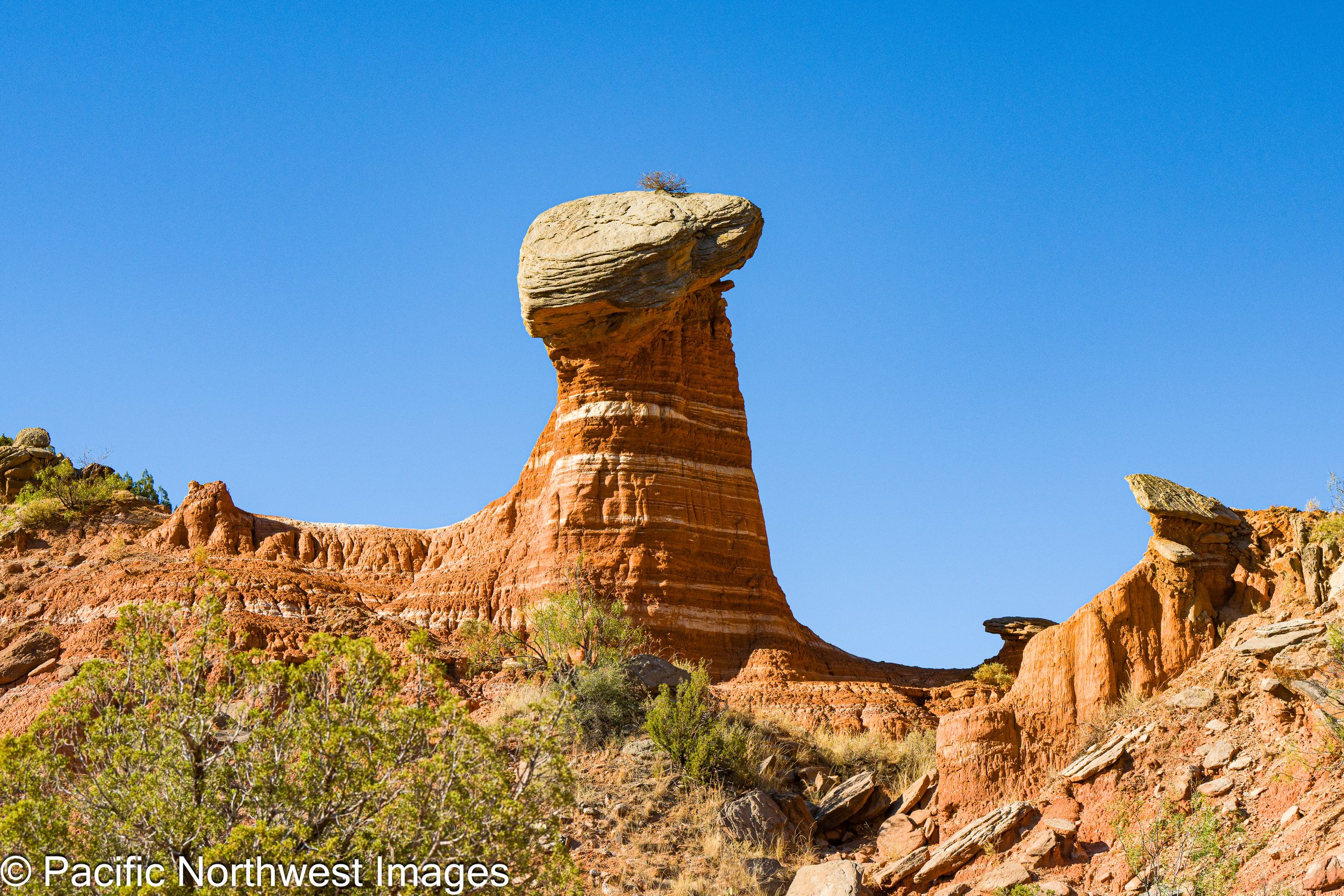 Landscape_web (6 of 8)-2.jpg
