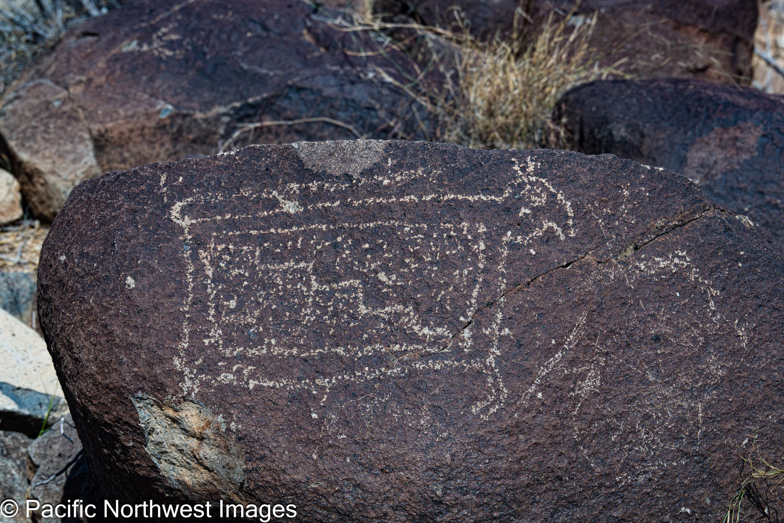 Past_Cultures (8 of 14).jpg