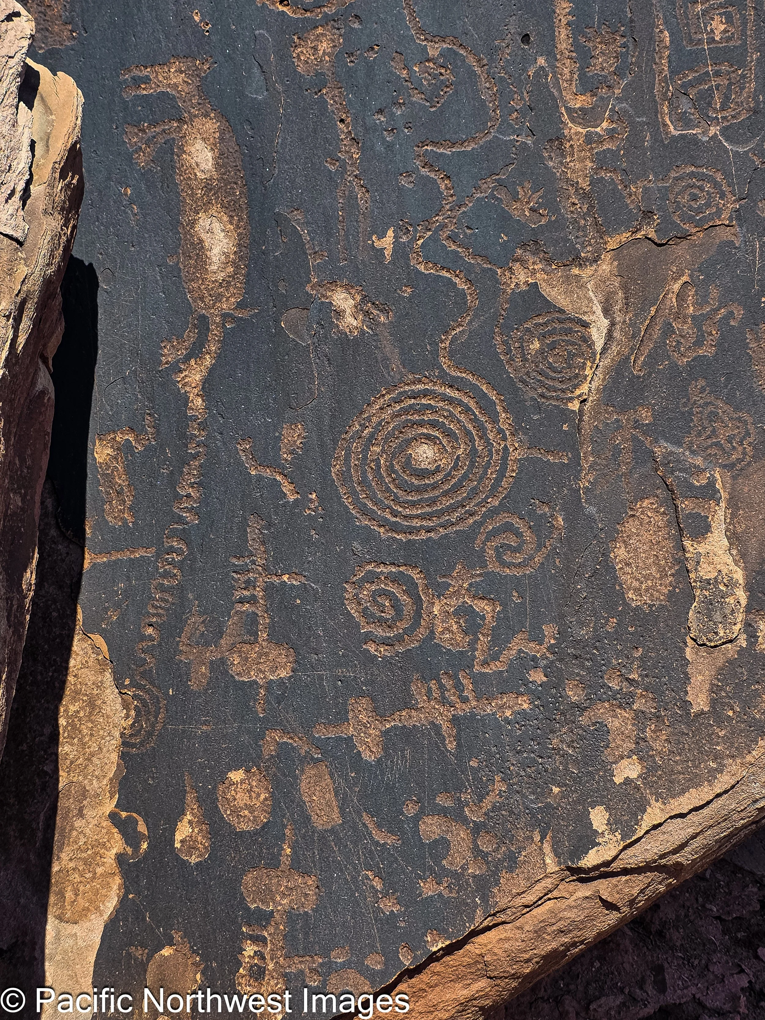 Past_Cultures (12 of 15).jpg