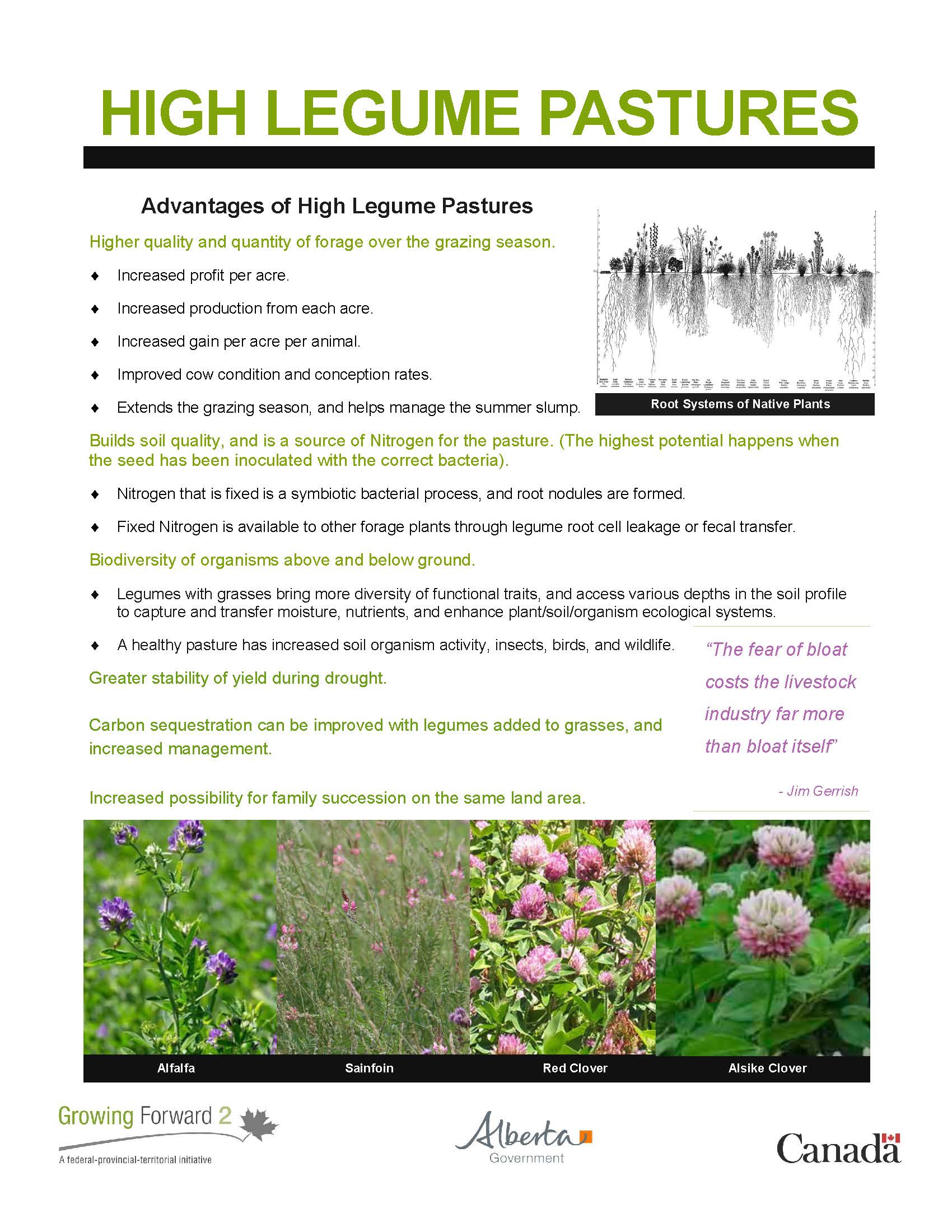high-legume-pasture-learnings_Page_1.jpg