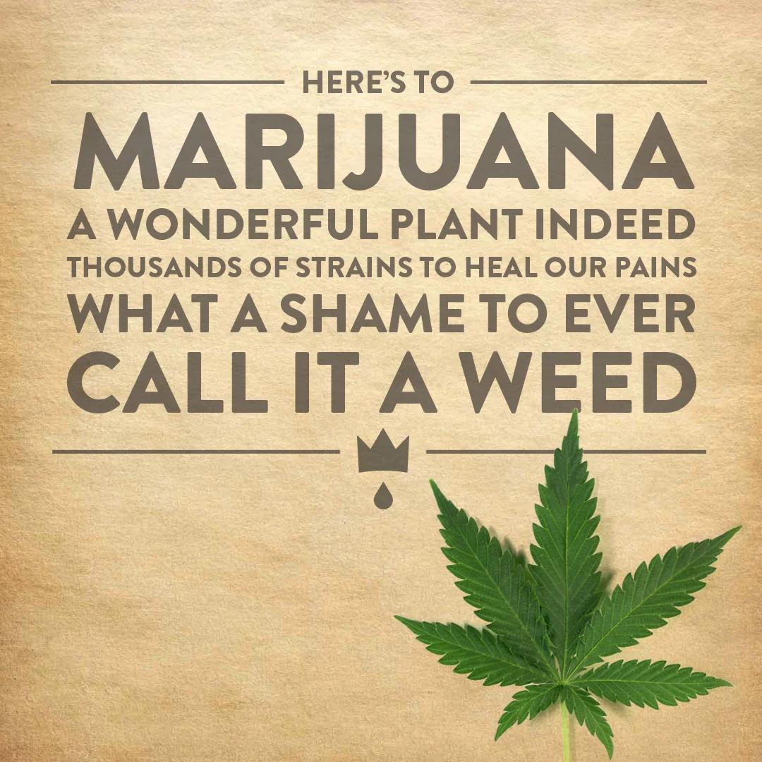 herestomarijuana.jpg