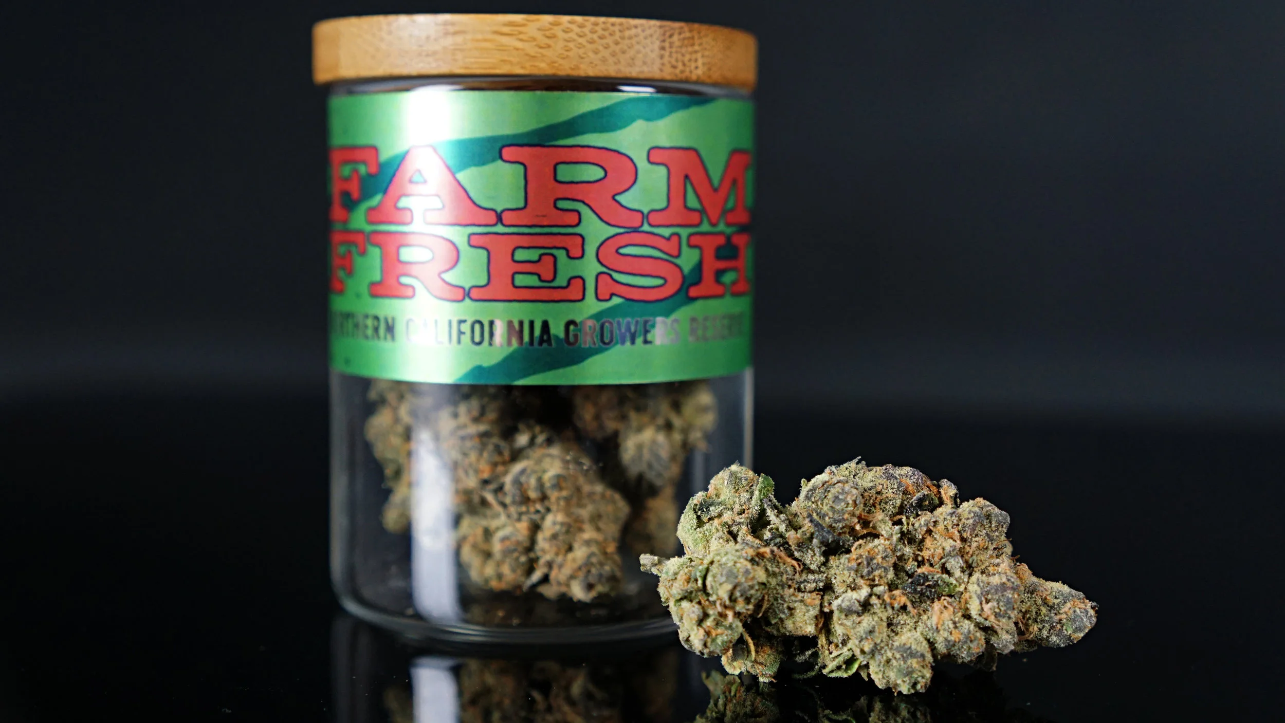 FF_JAR_BUD.jpg