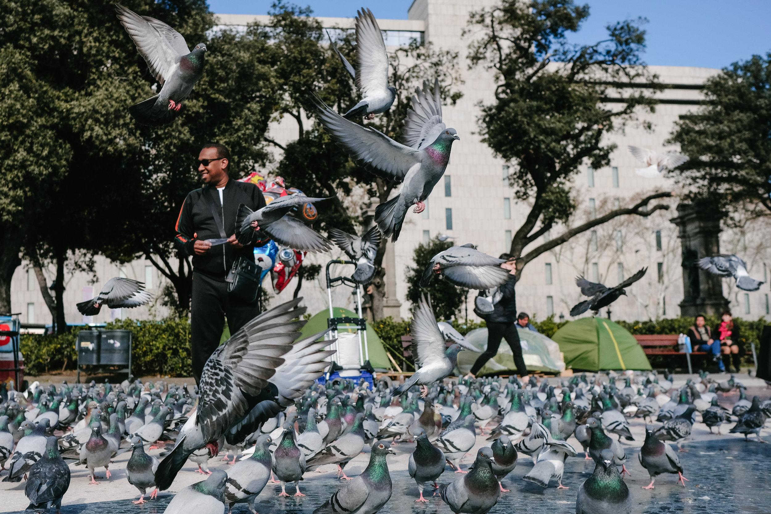 A tourist feeds pigeons in the Plaça de Catalunya, Barcelona, Spain, on March 22, 2018.