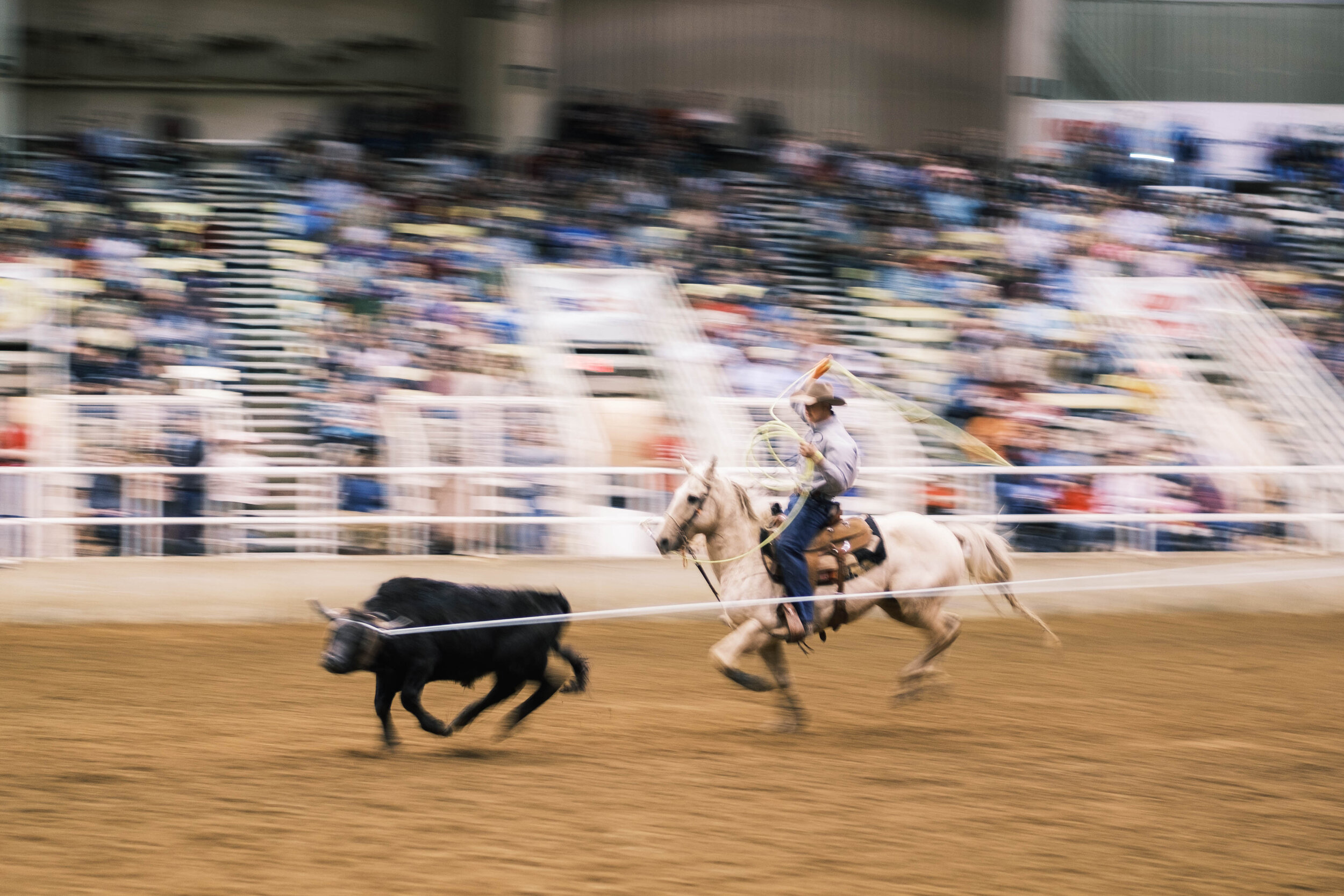 2019 Pro Rodeo Agricenter-17.jpg