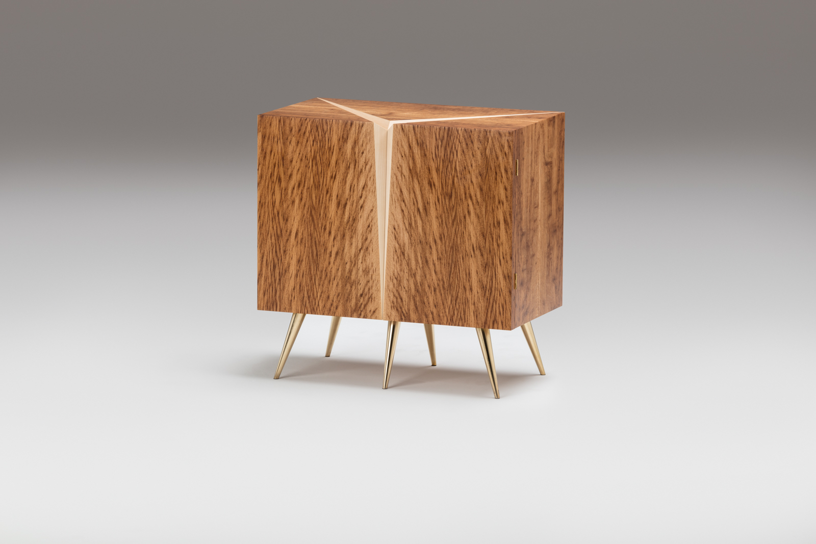 LaurentPeacock_Aesculus Cabinet_March18-9875-Edit_web.jpg