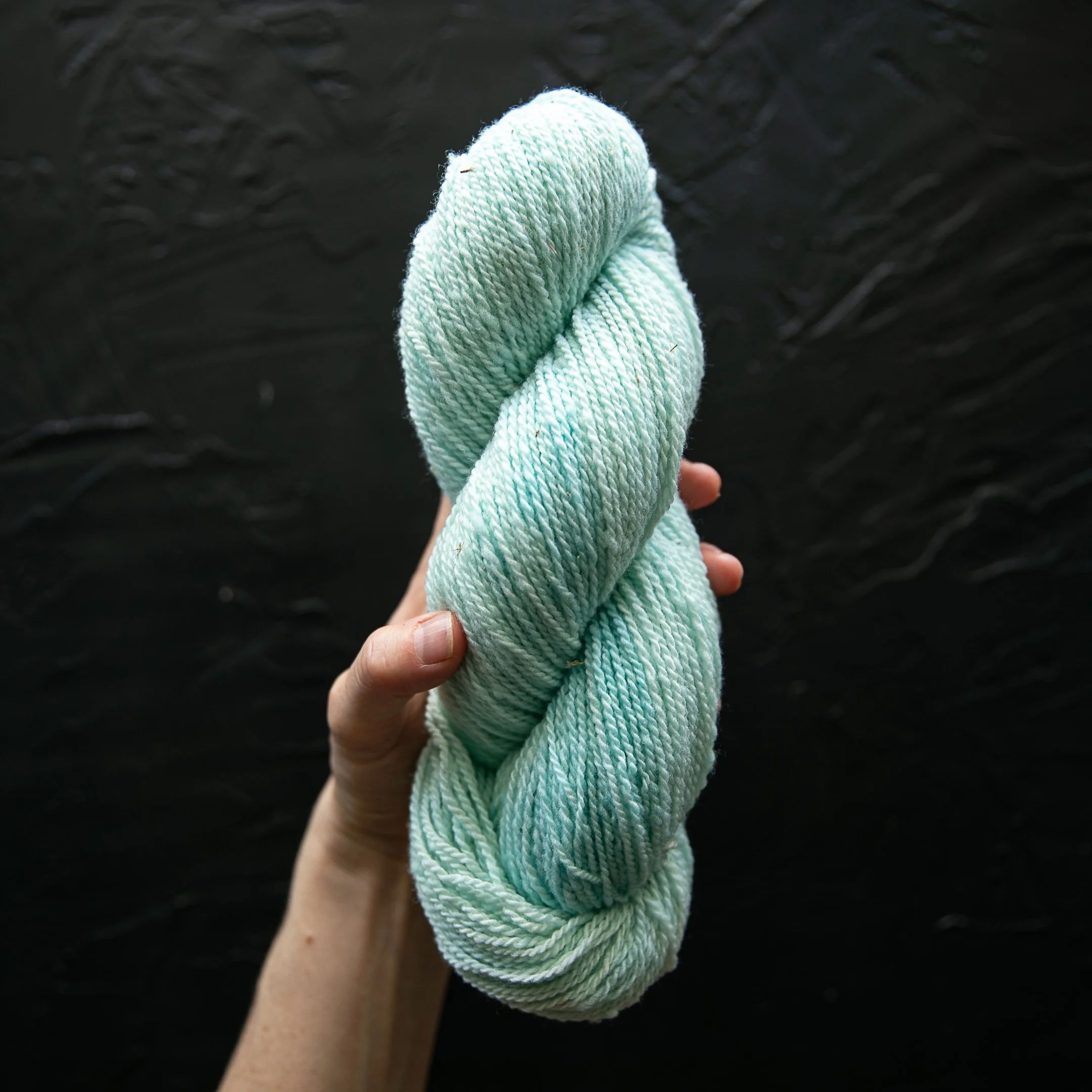 BSD Spectrum Colors-559.jpg